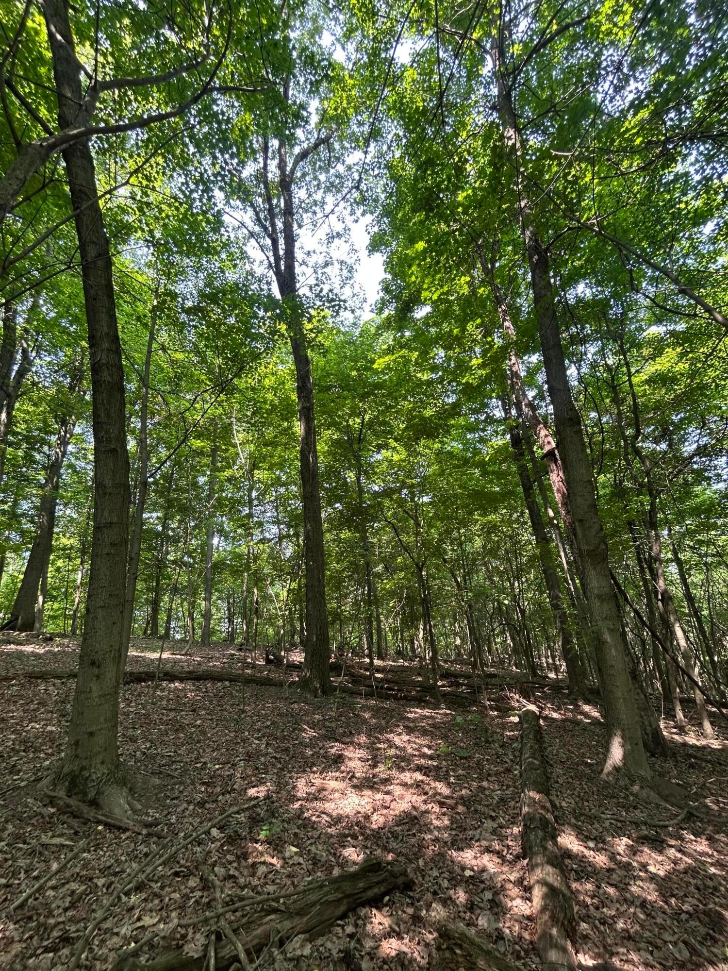 Cumberland Crest, Heath, Ohio image 38