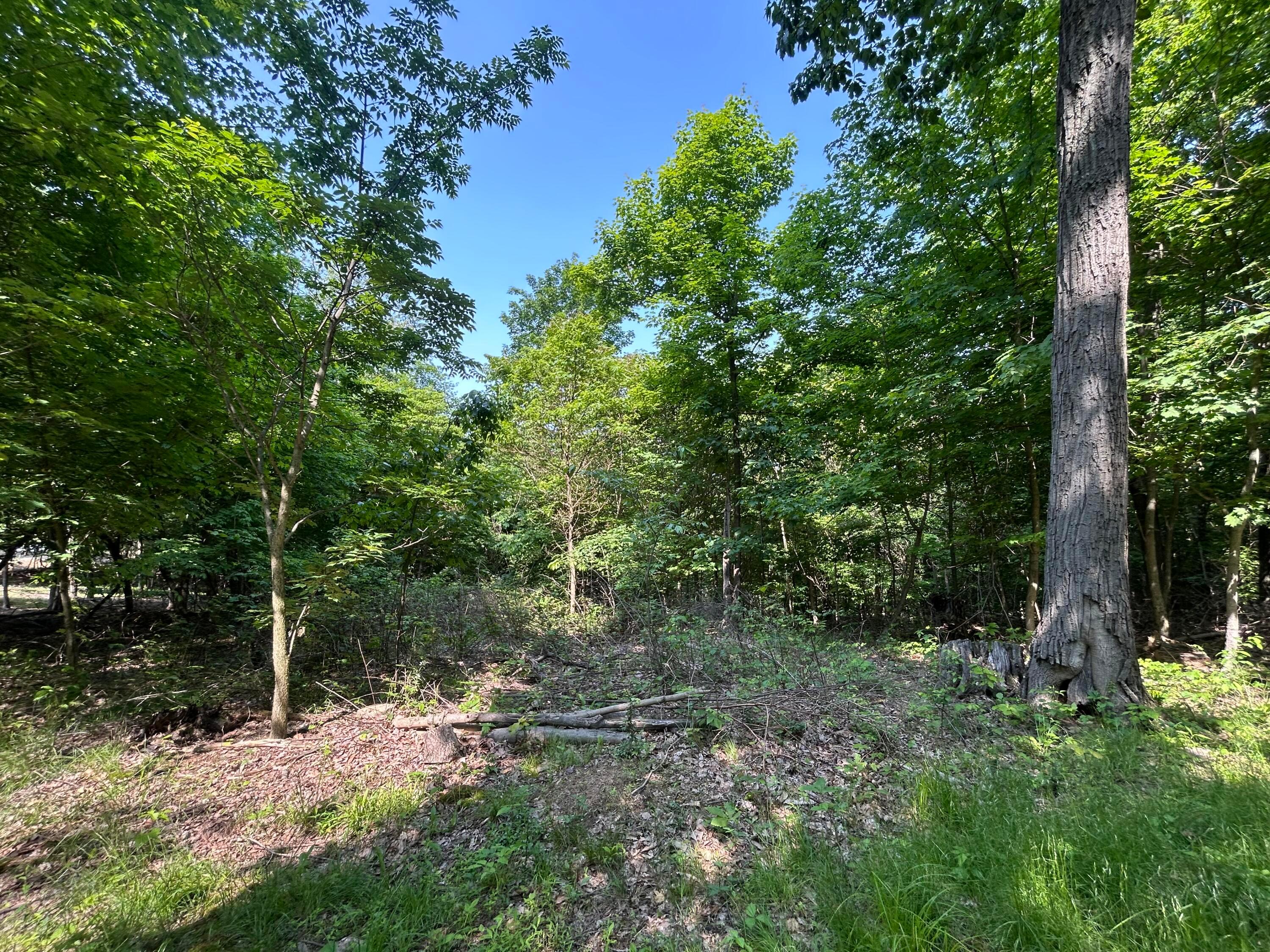 Cumberland Crest, Heath, Ohio image 27