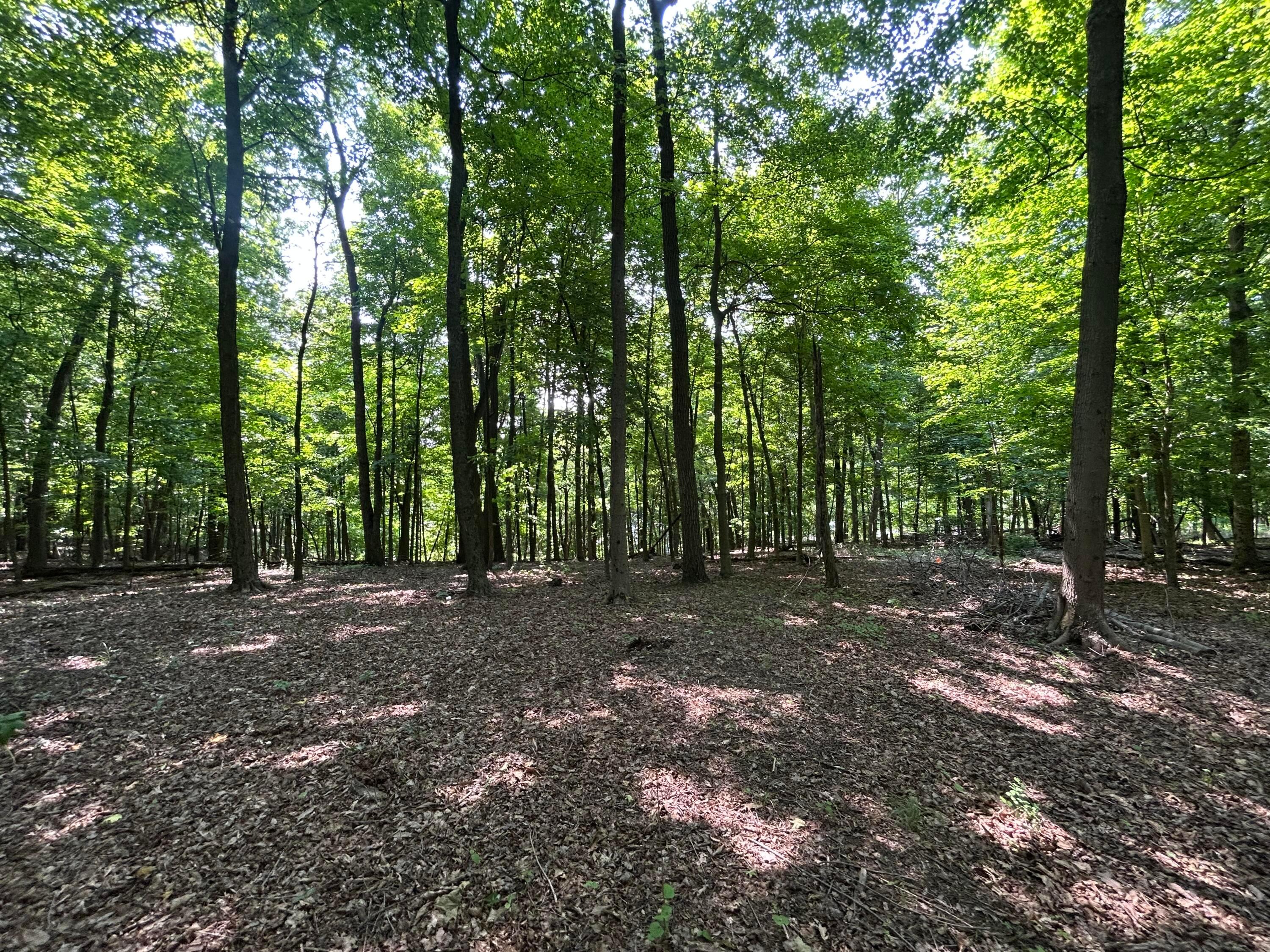 Cumberland Crest, Heath, Ohio image 31