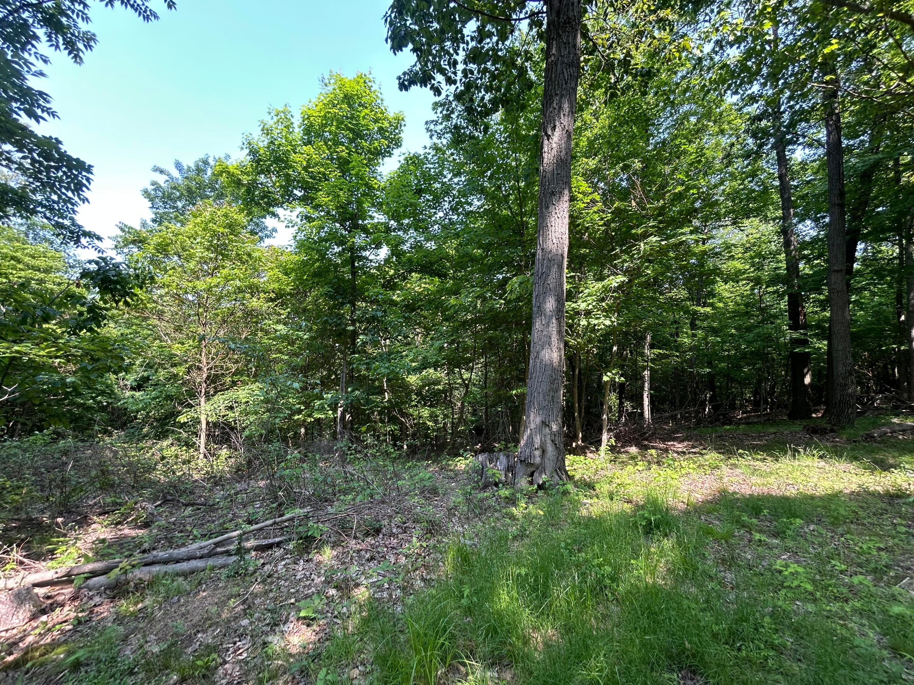 Cumberland Crest, Heath, Ohio image 26