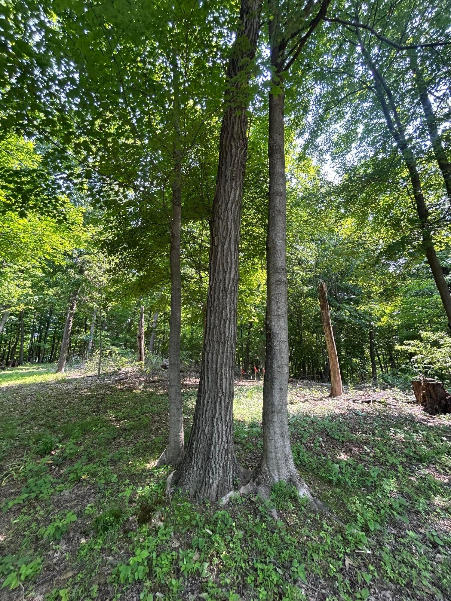 Cumberland Crest, Heath, Ohio image 25