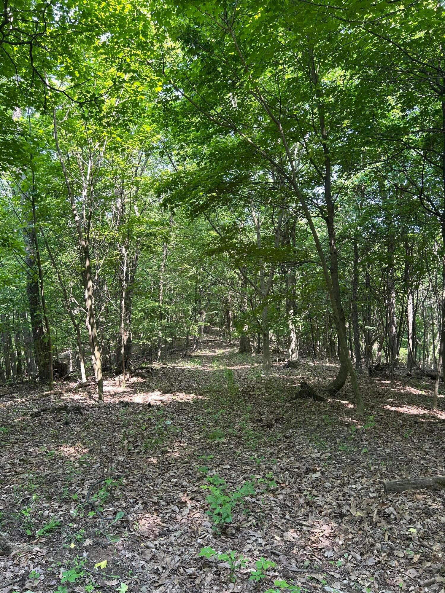 Cumberland Crest, Heath, Ohio image 40