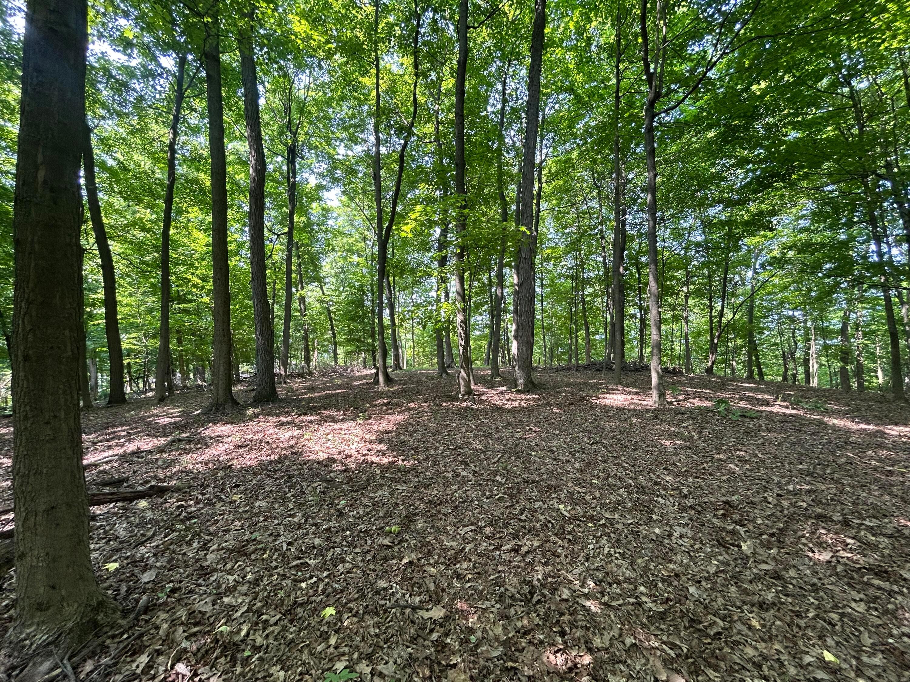 Cumberland Crest, Heath, Ohio image 35
