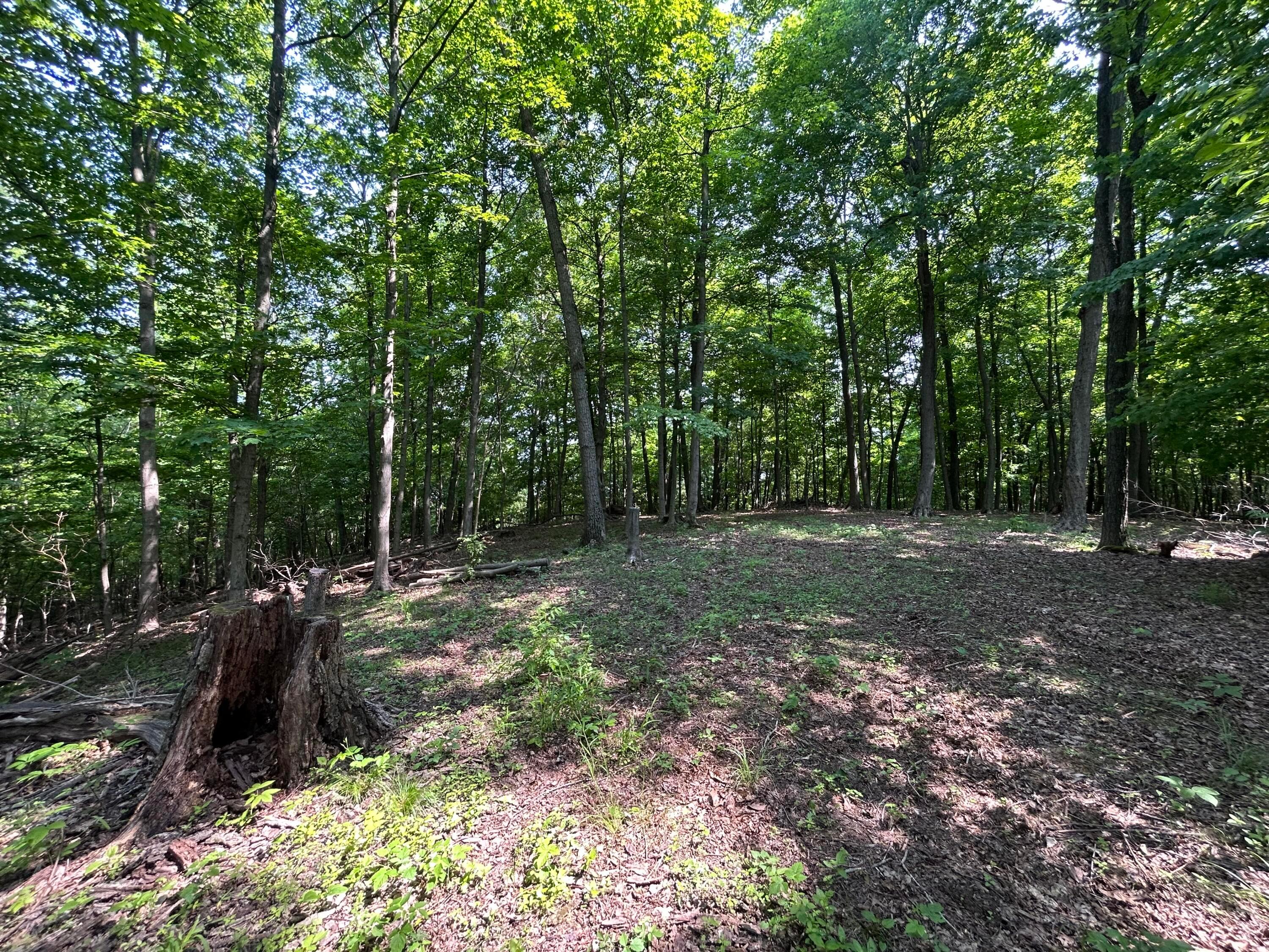 Cumberland Crest, Heath, Ohio image 28
