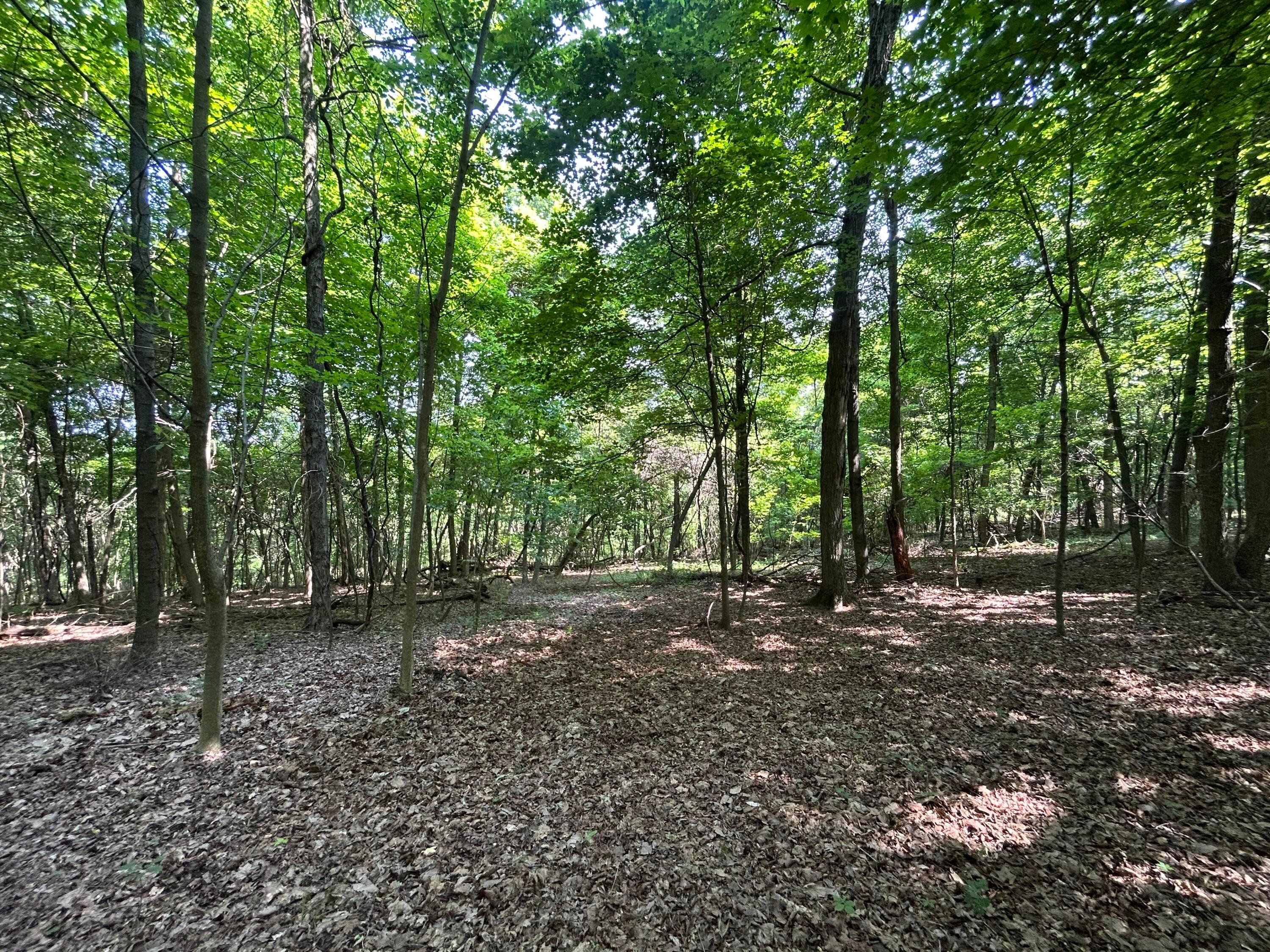 Cumberland Crest, Heath, Ohio image 36