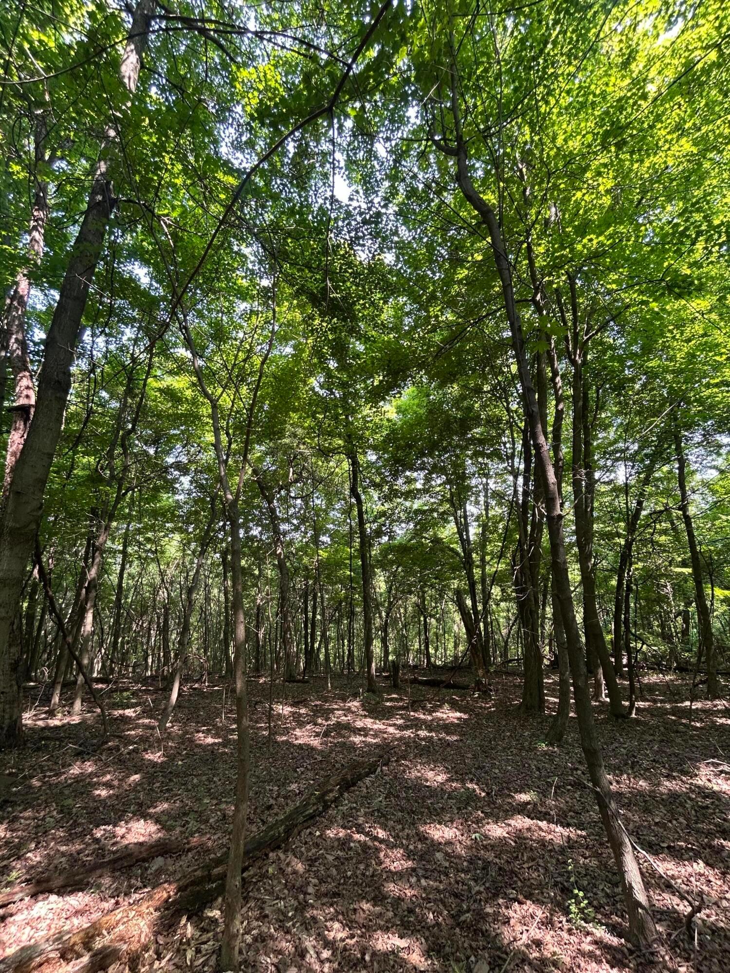 Cumberland Crest, Heath, Ohio image 39