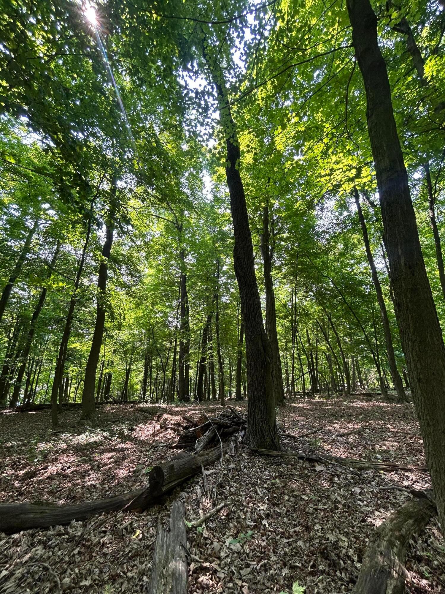 Cumberland Crest, Heath, Ohio image 34