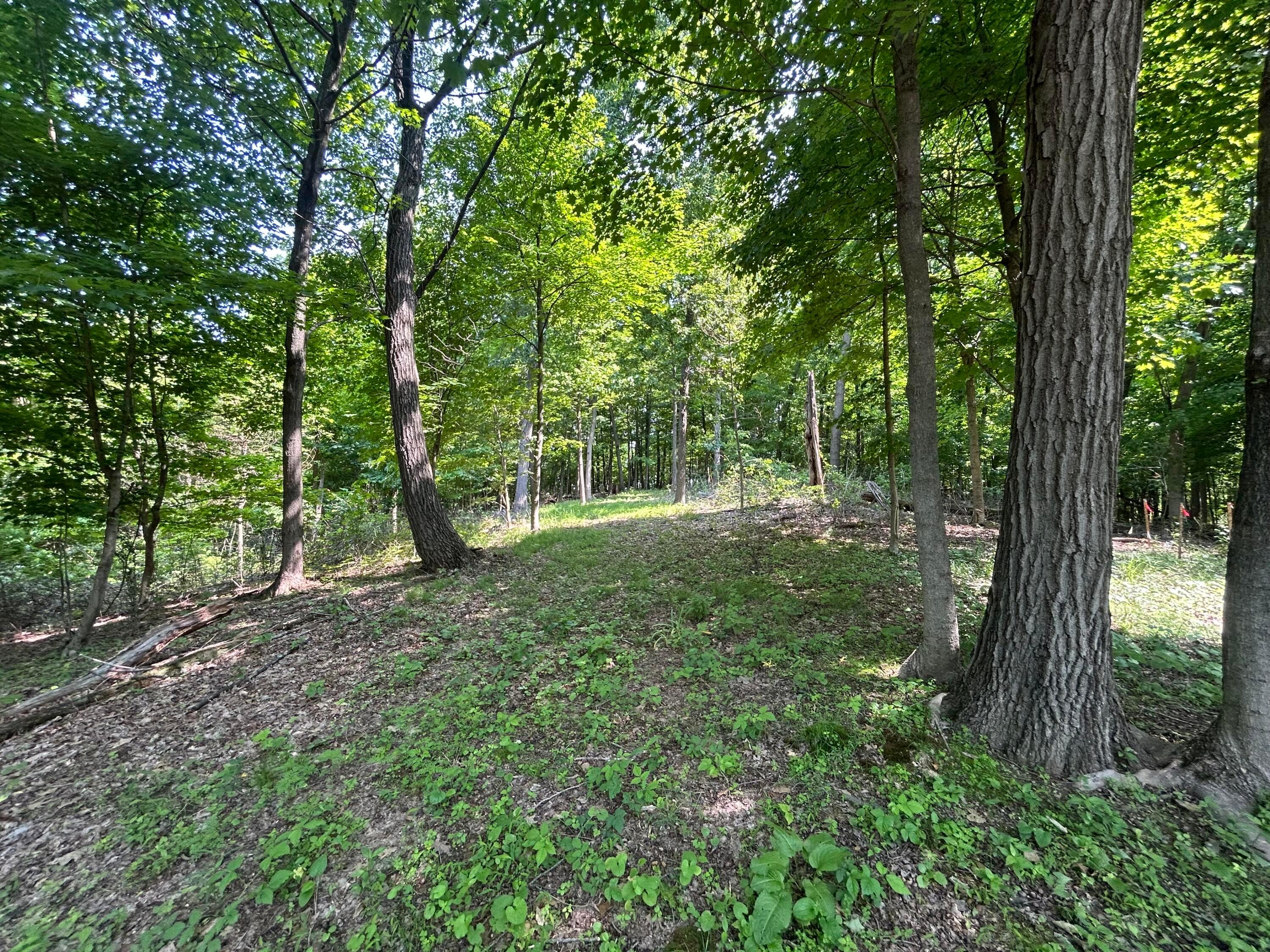 Cumberland Crest, Heath, Ohio image 24