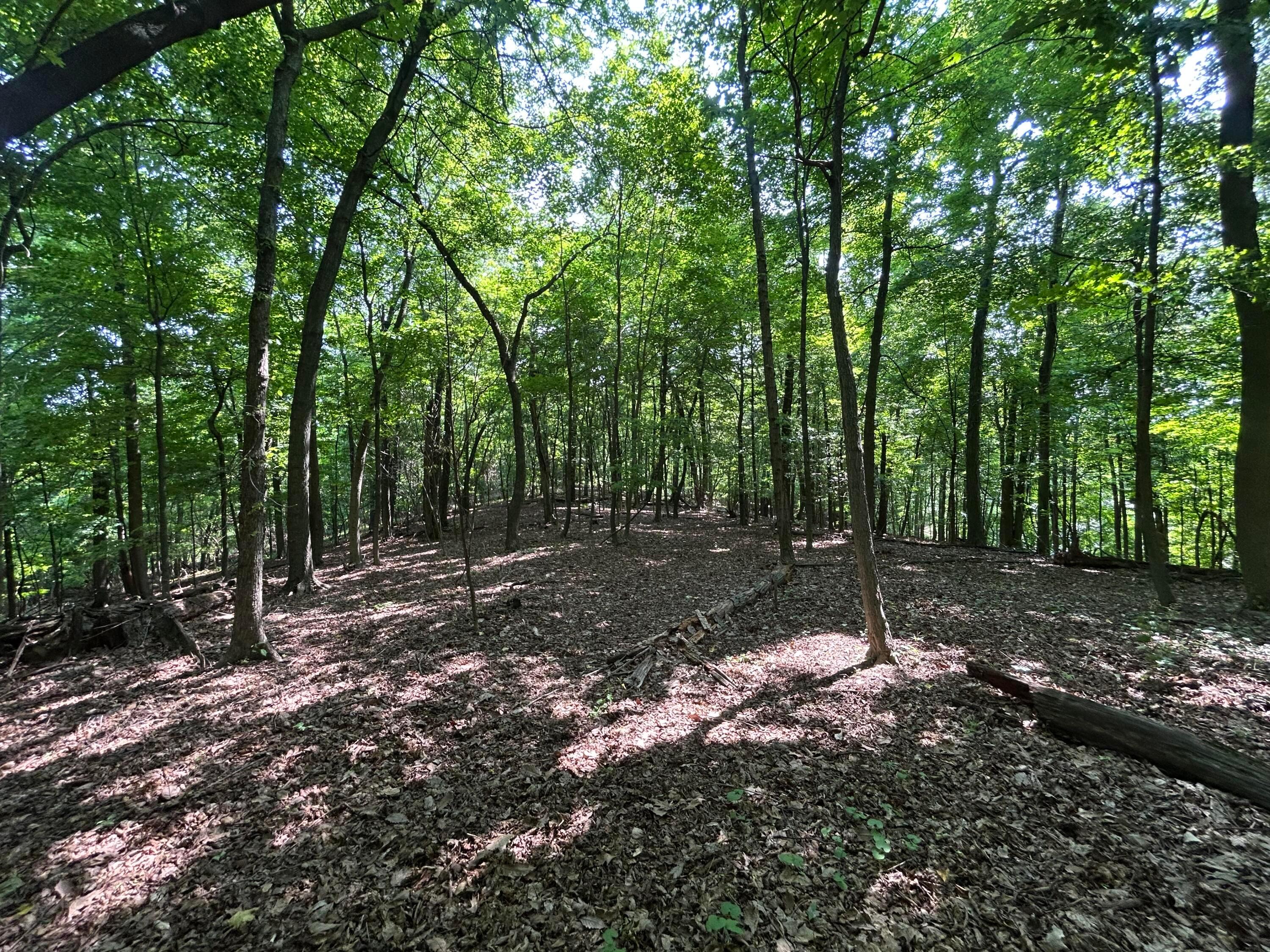 Cumberland Crest, Heath, Ohio image 33