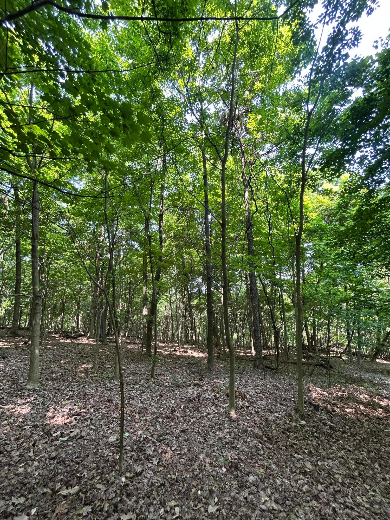 Cumberland Crest, Heath, Ohio image 37