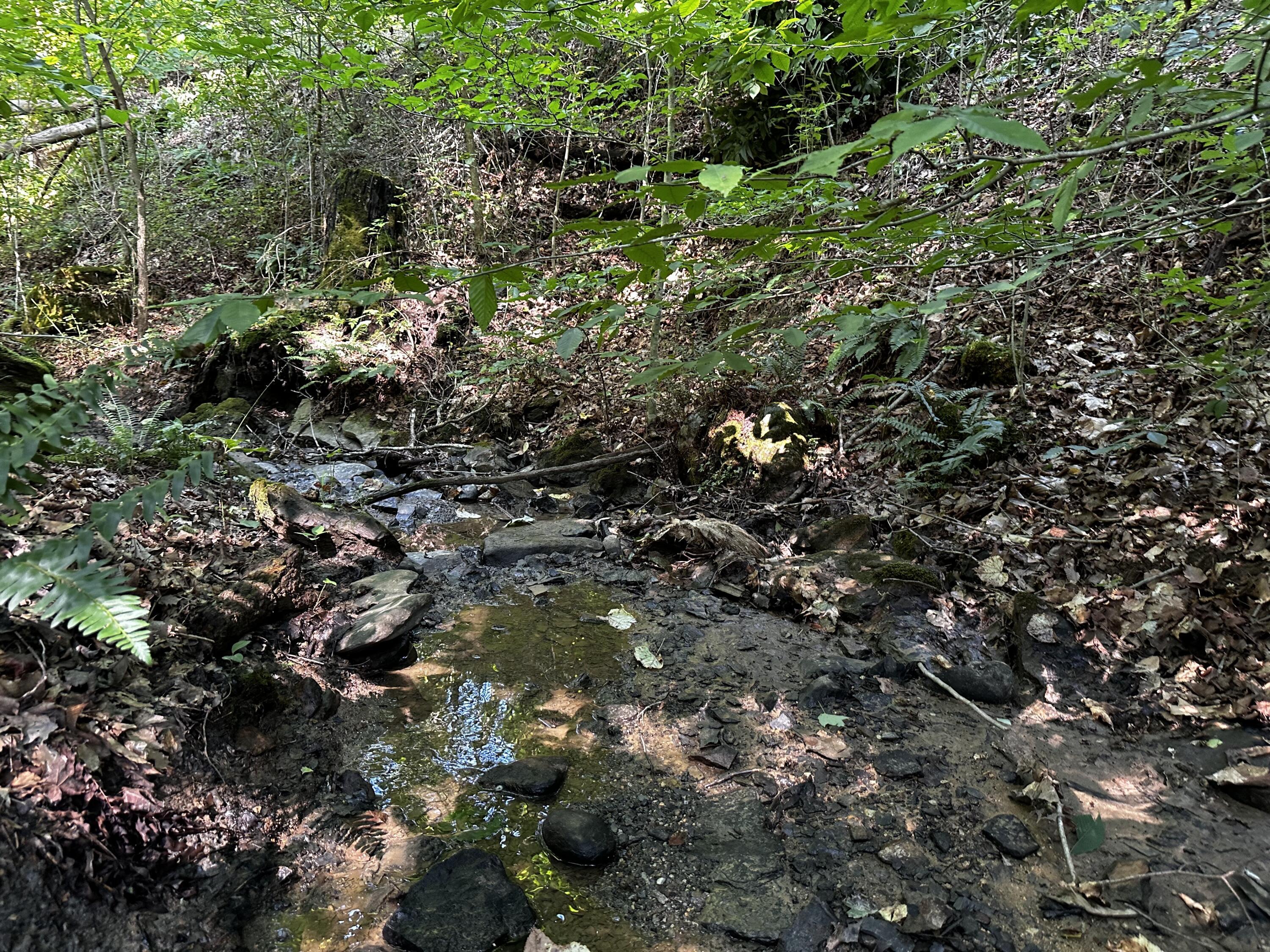 9562 Township Rd 57 #TRACT 3 AT SHERIDAN WOOD, Roseville, Ohio image 34