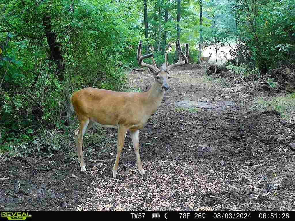 9562 Township Rd 57 #TRACT 3 AT SHERIDAN WOOD, Roseville, Ohio image 3