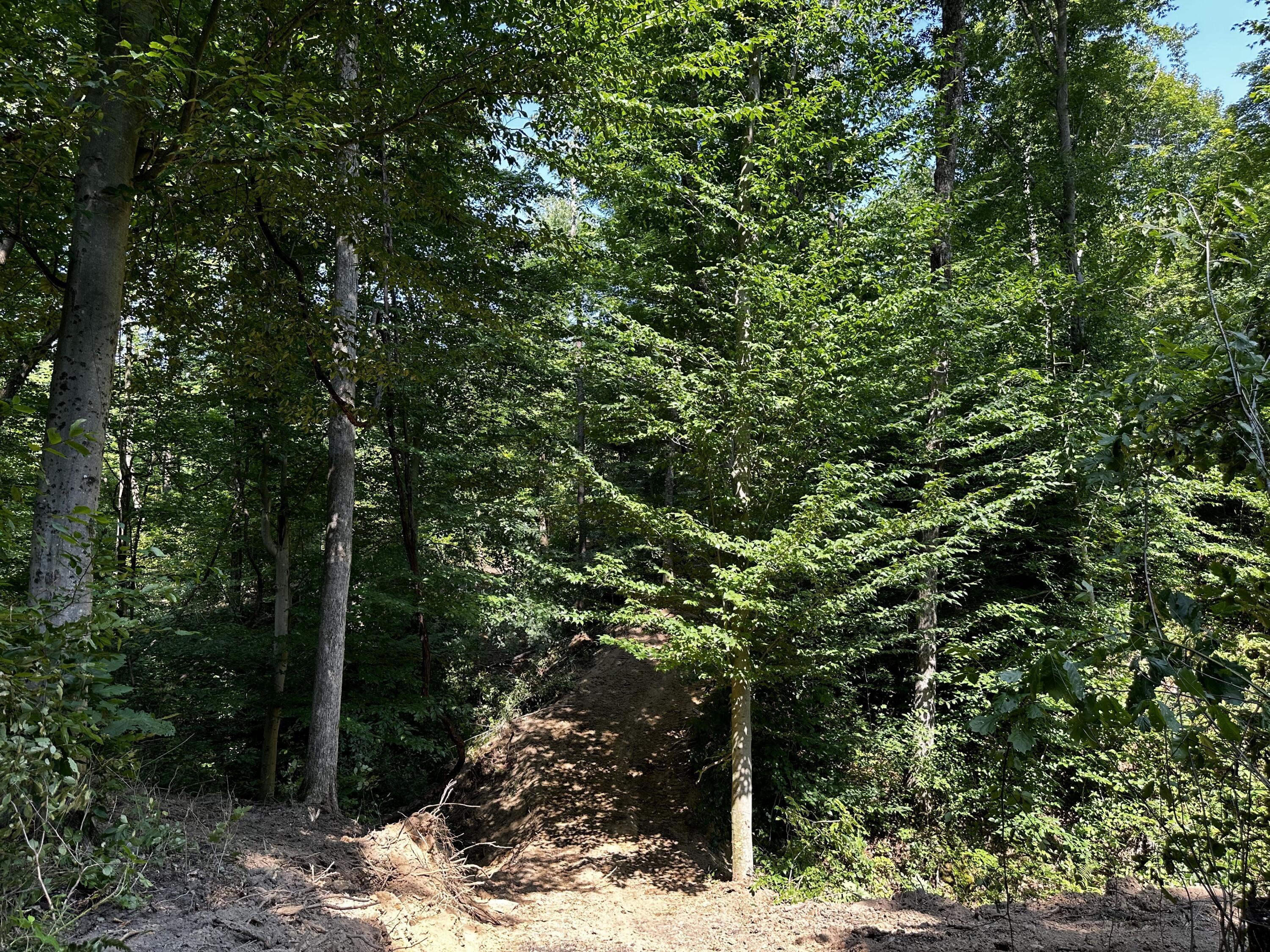 9562 Township Rd 57 #TRACT 3 AT SHERIDAN WOOD, Roseville, Ohio image 26