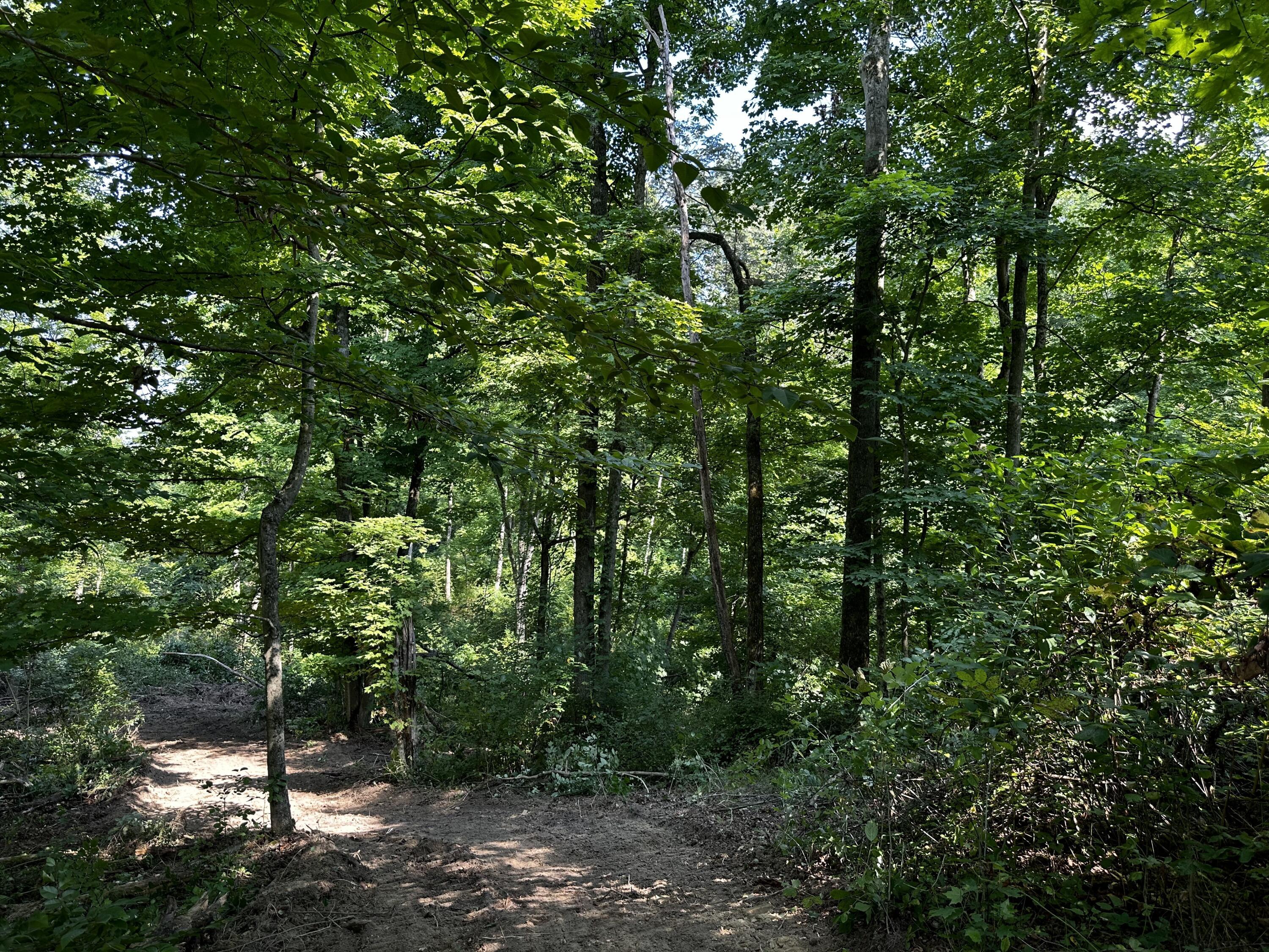 9562 Township Rd 57 #TRACT 3 AT SHERIDAN WOOD, Roseville, Ohio image 42