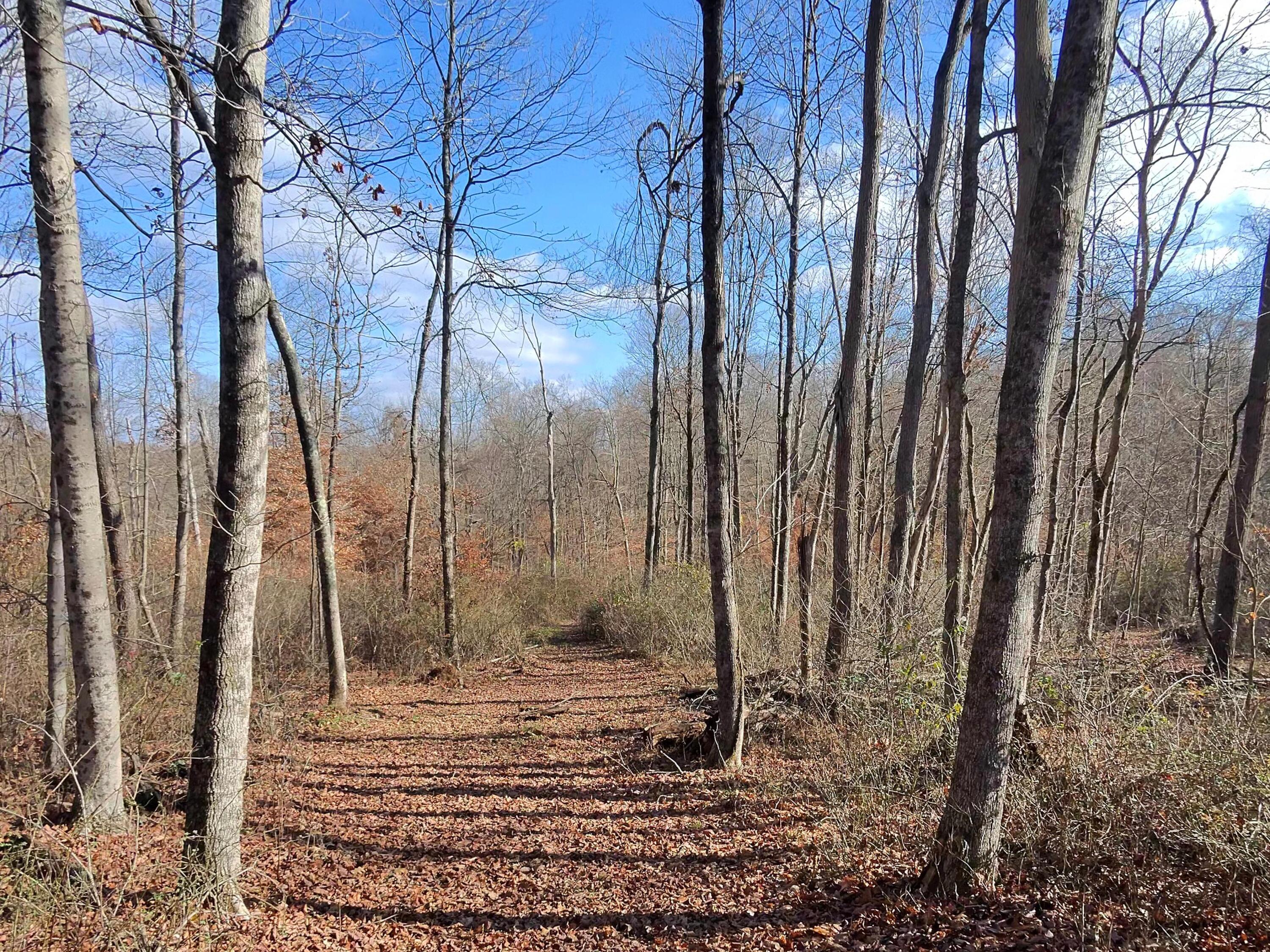 9562 Township Rd 57 #TRACT 3 AT SHERIDAN WOOD, Roseville, Ohio image 1