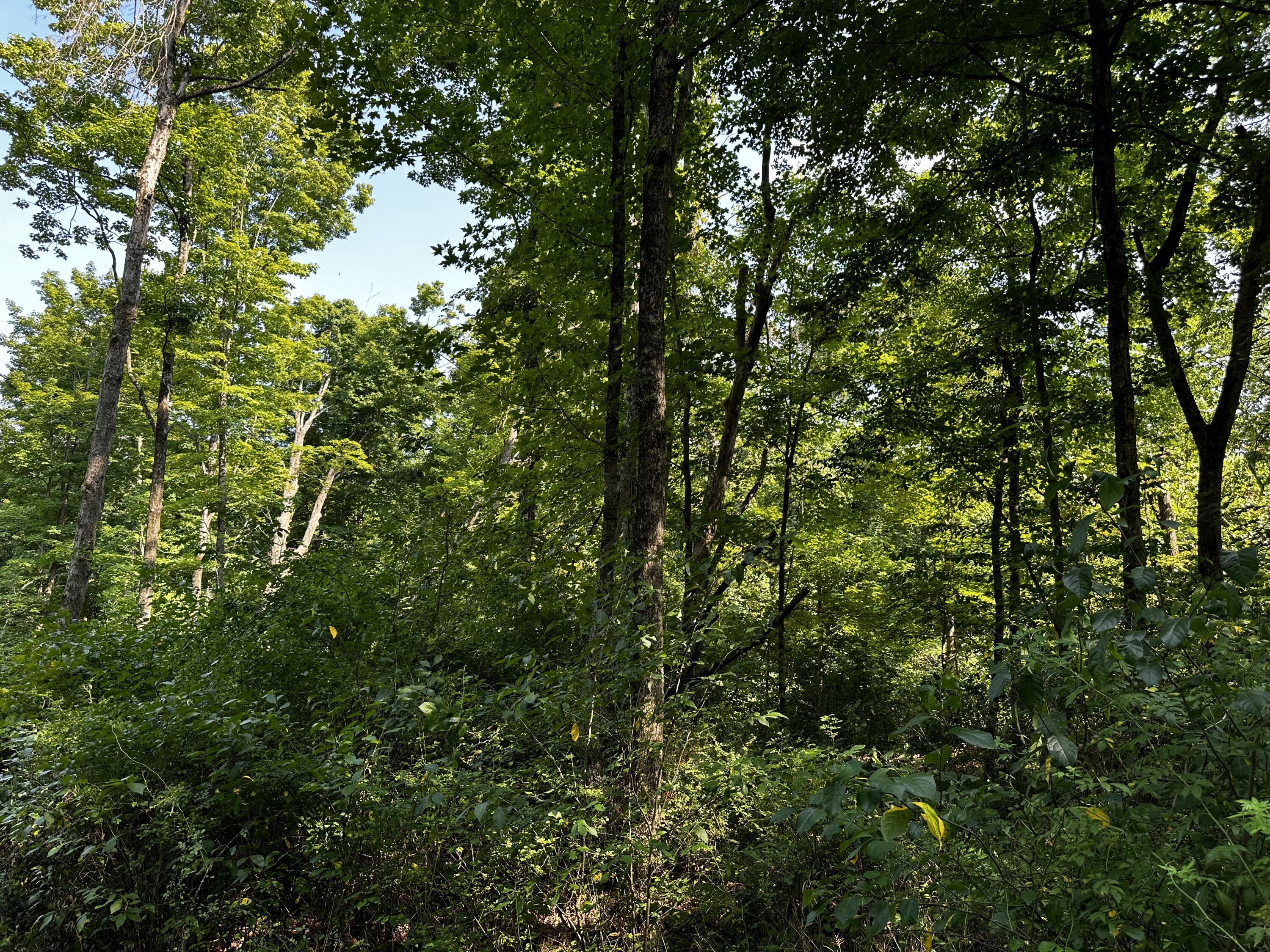 9562 Township Rd 57 #TRACT 3 AT SHERIDAN WOOD, Roseville, Ohio image 21
