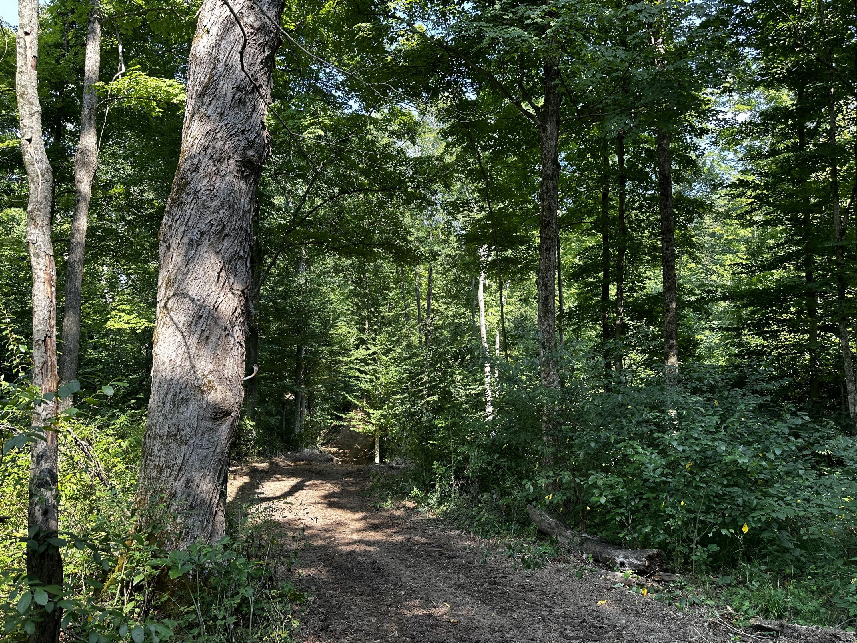 9562 Township Rd 57 #TRACT 3 AT SHERIDAN WOOD, Roseville, Ohio image 24