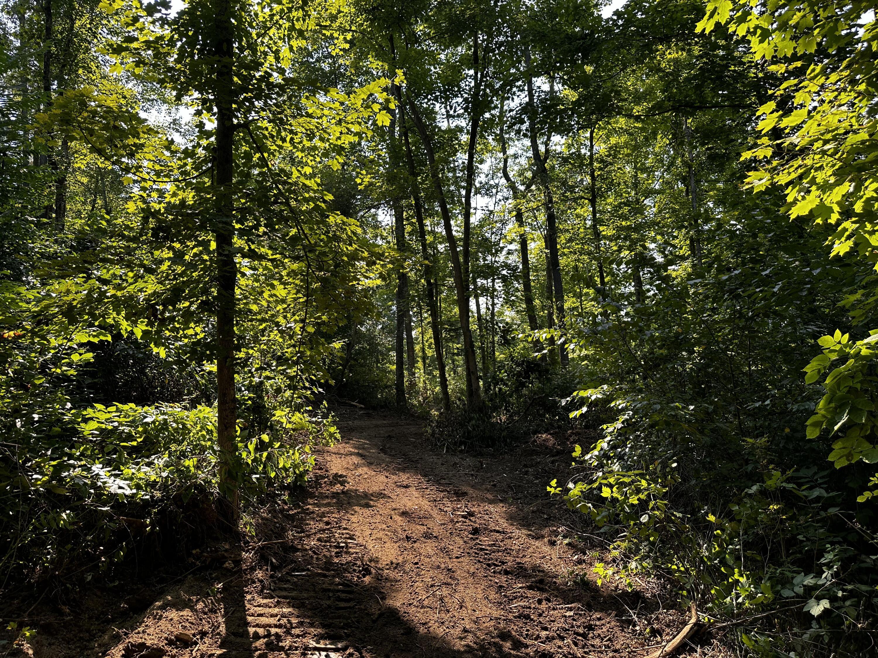 9562 Township Rd 57 #TRACT 3 AT SHERIDAN WOOD, Roseville, Ohio image 43