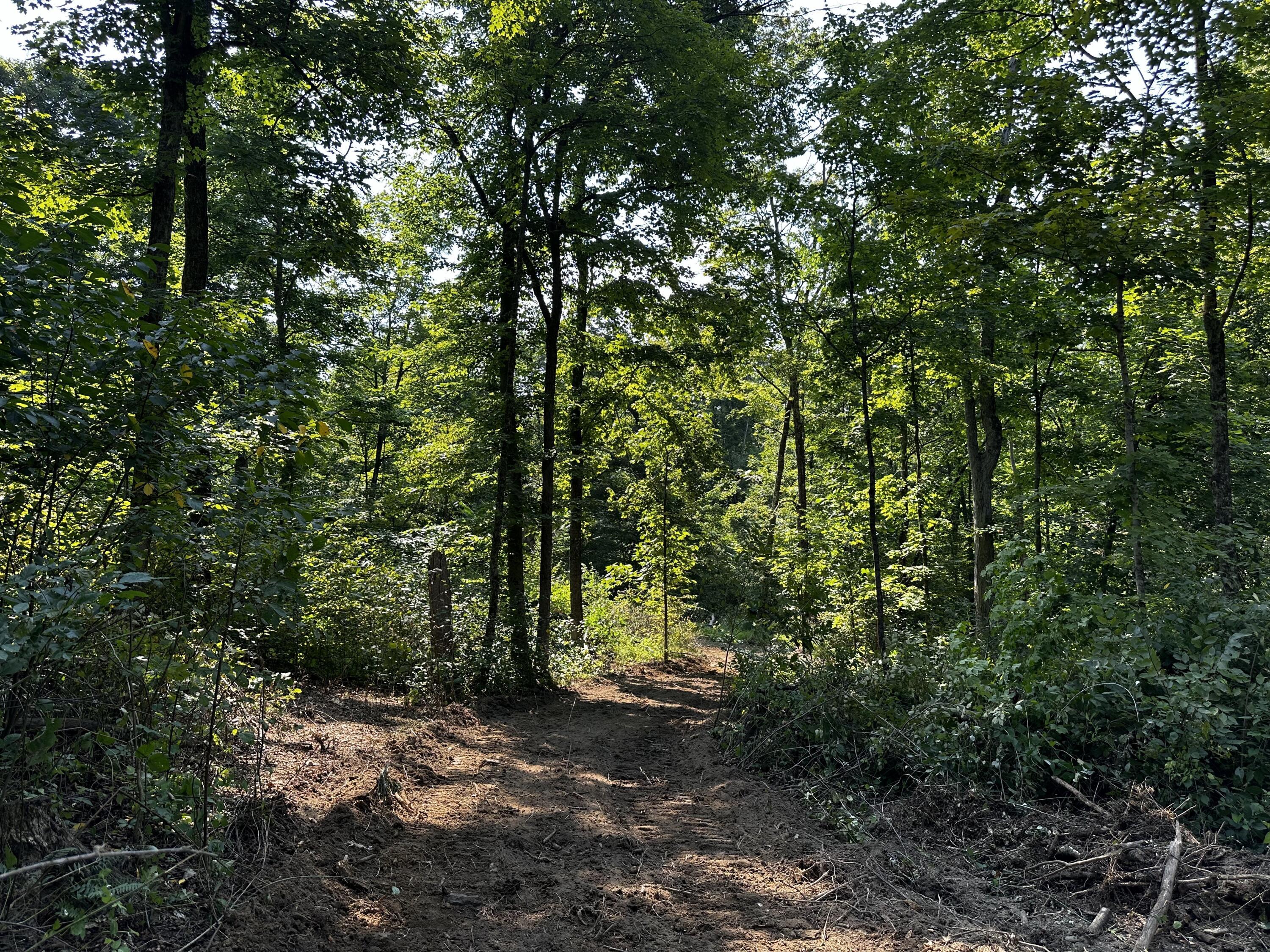 9562 Township Rd 57 #TRACT 3 AT SHERIDAN WOOD, Roseville, Ohio image 45