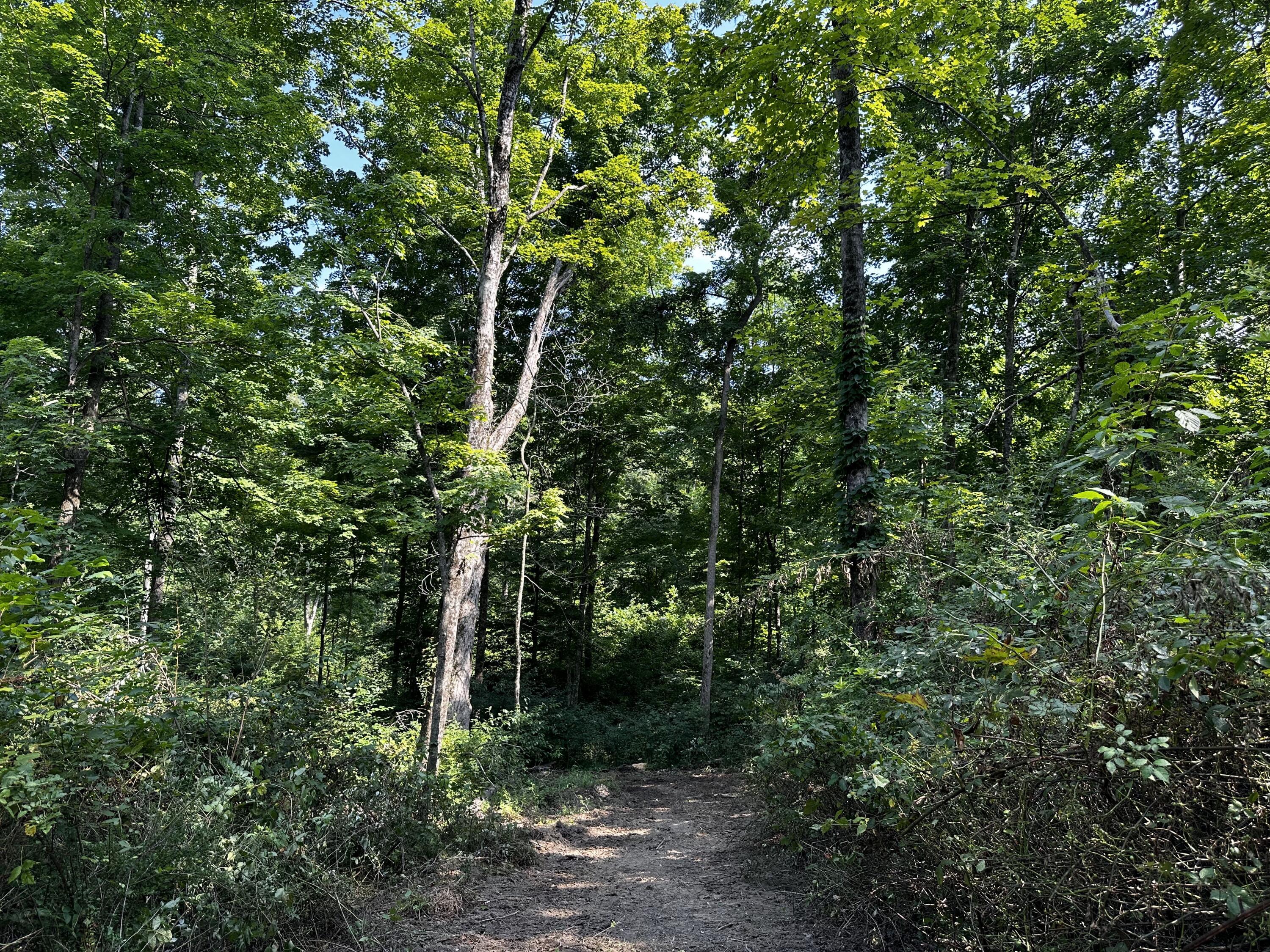 9562 Township Rd 57 #TRACT 3 AT SHERIDAN WOOD, Roseville, Ohio image 22