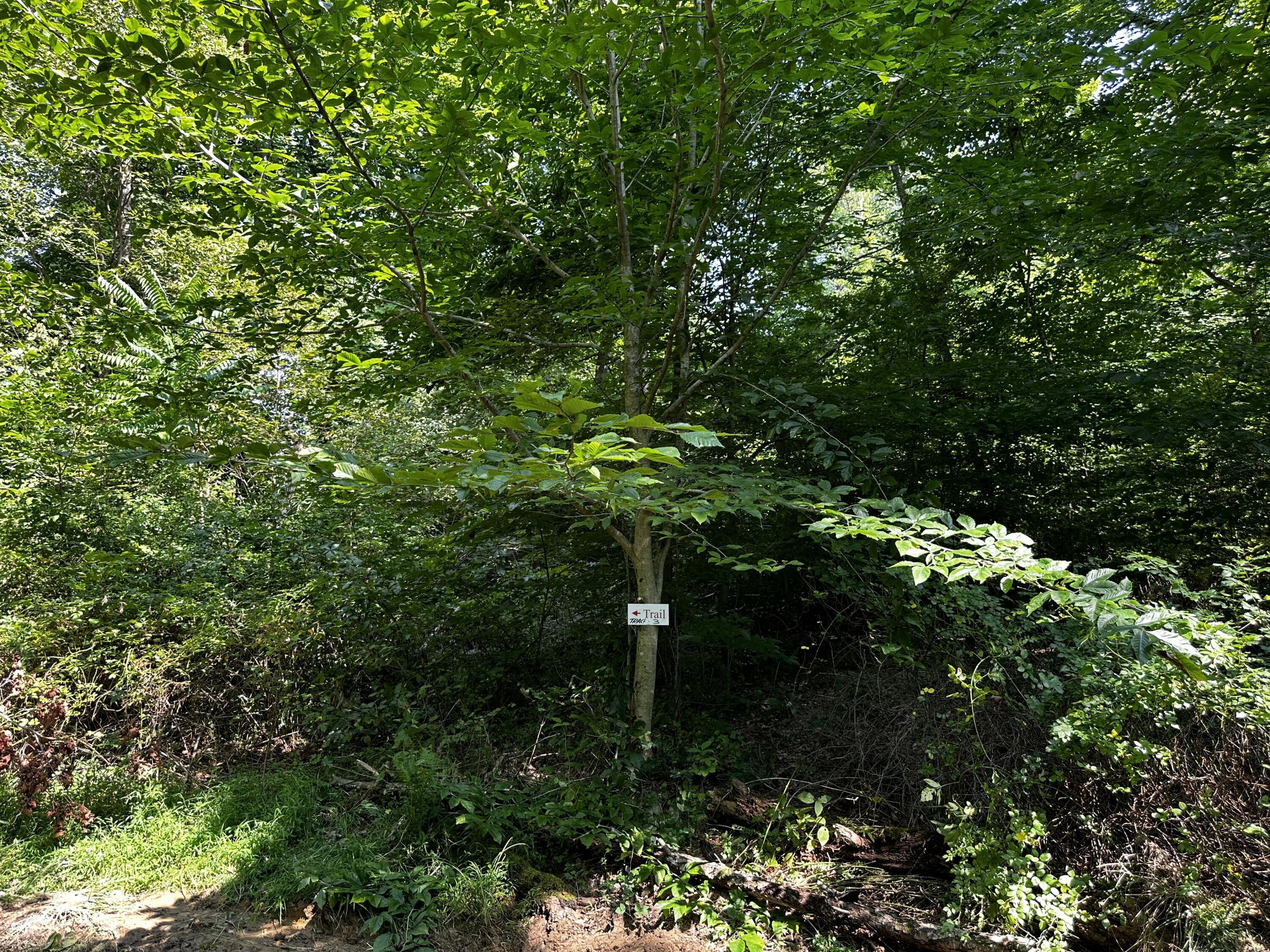 9562 Township Rd 57 #TRACT 3 AT SHERIDAN WOOD, Roseville, Ohio image 37