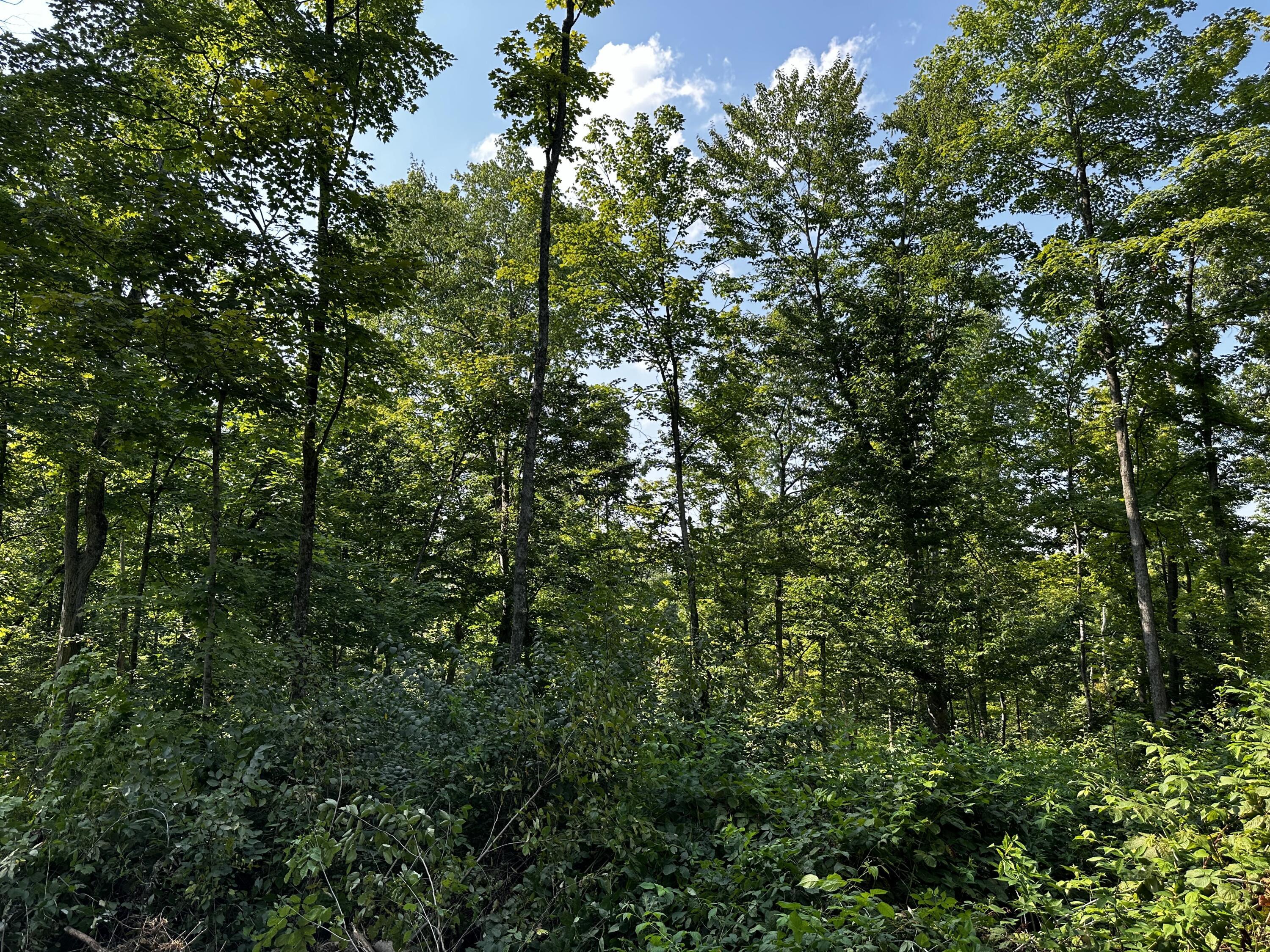 9562 Township Rd 57 #TRACT 3 AT SHERIDAN WOOD, Roseville, Ohio image 46