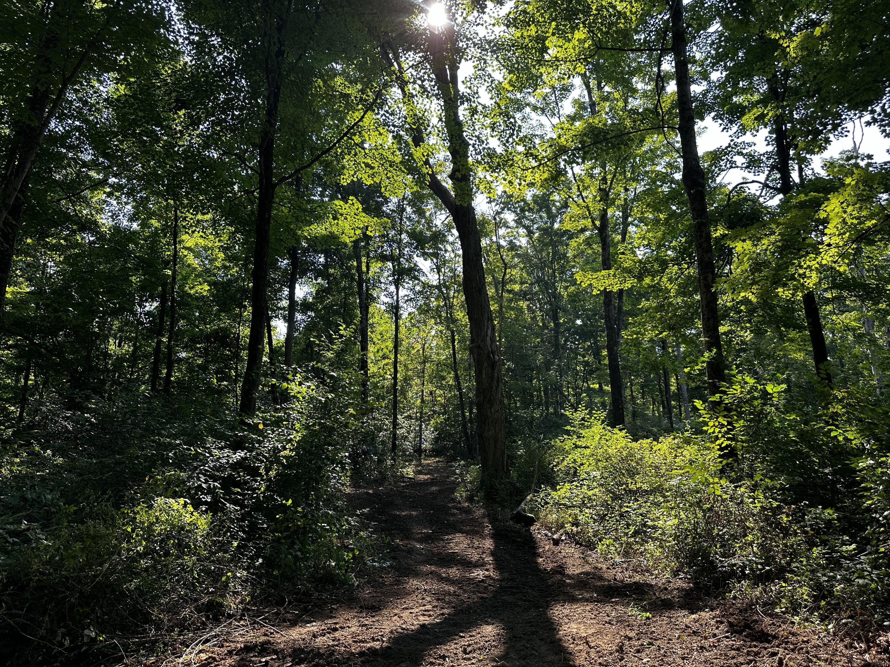 9562 Township Rd 57 #TRACT 3 AT SHERIDAN WOOD, Roseville, Ohio image 48