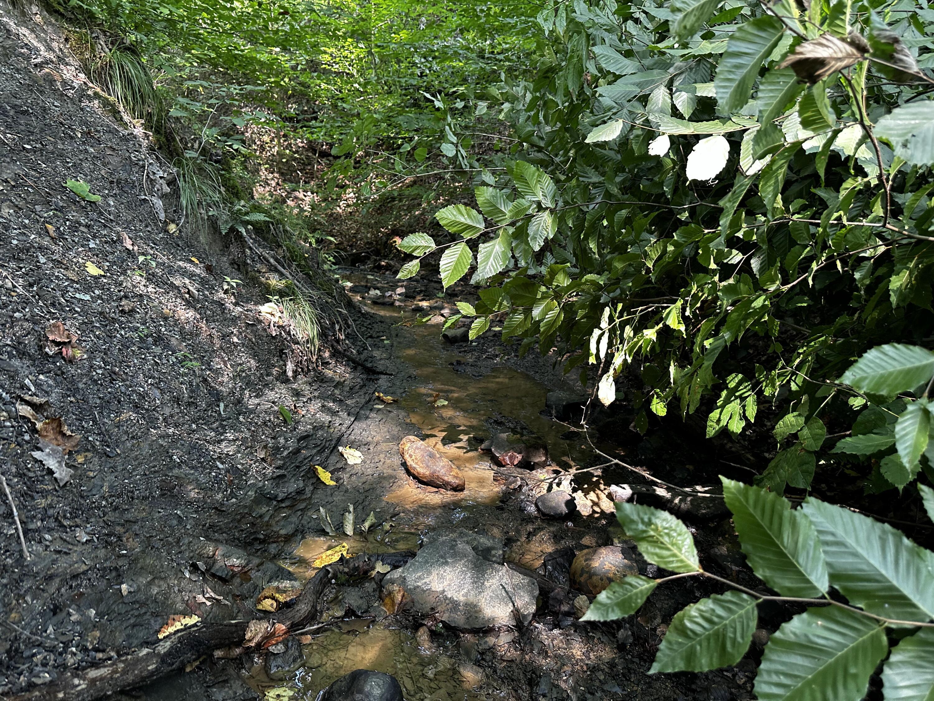 9562 Township Rd 57 #TRACT 3 AT SHERIDAN WOOD, Roseville, Ohio image 33