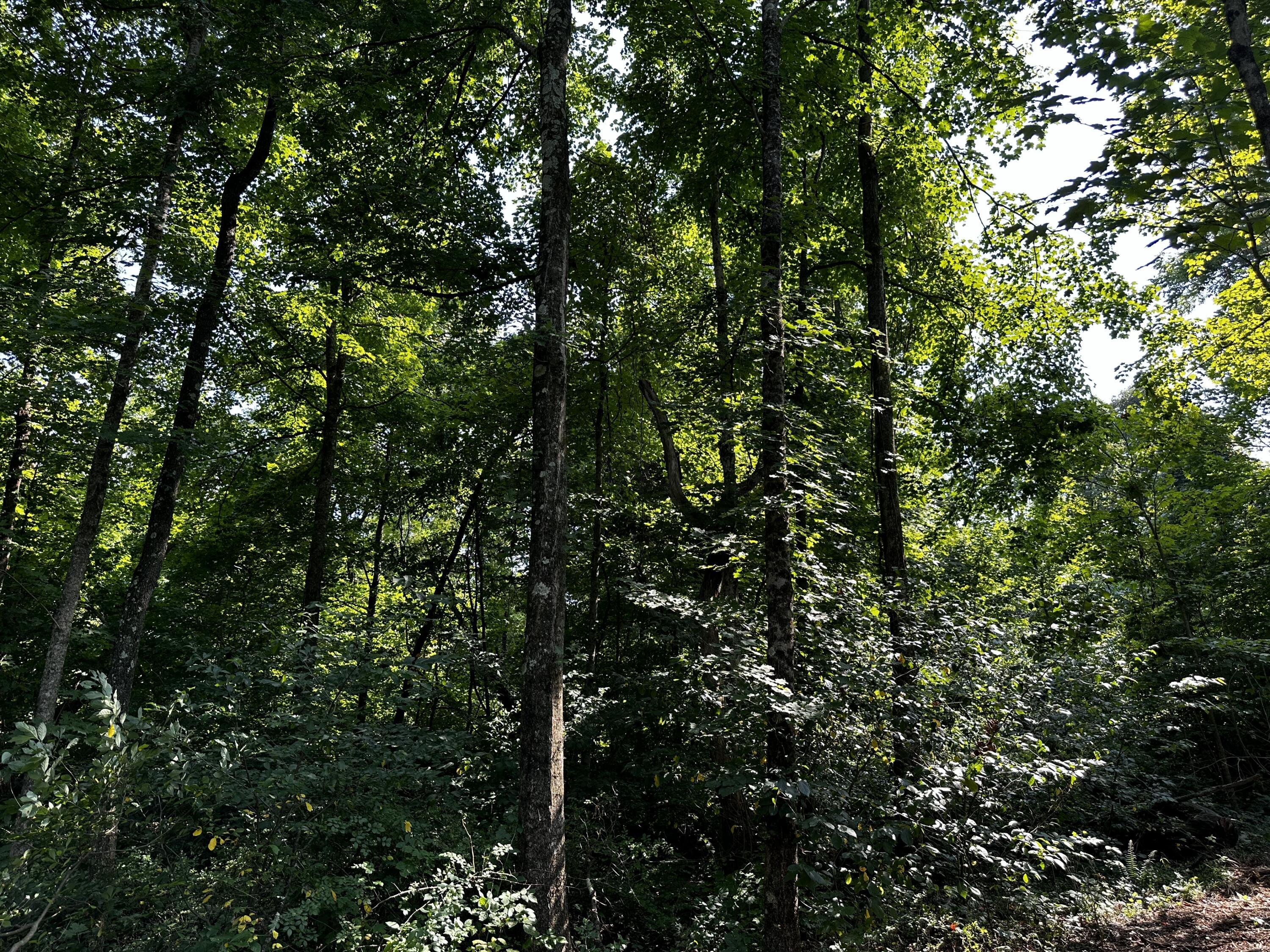 9562 Township Rd 57 #TRACT 3 AT SHERIDAN WOOD, Roseville, Ohio image 23