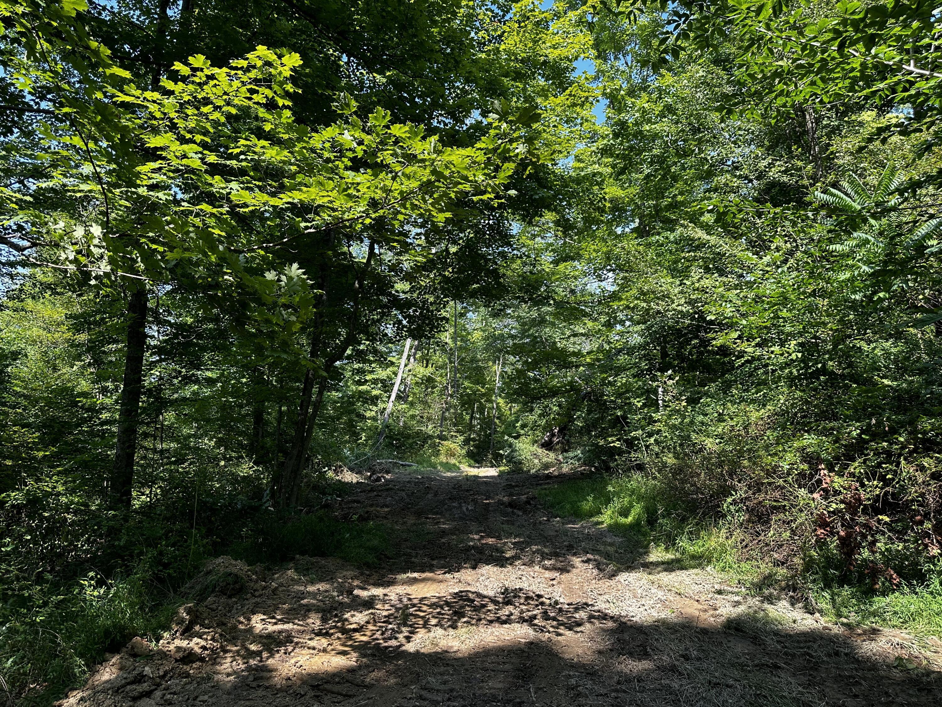 9562 Township Rd 57 #TRACT 3 AT SHERIDAN WOOD, Roseville, Ohio image 36