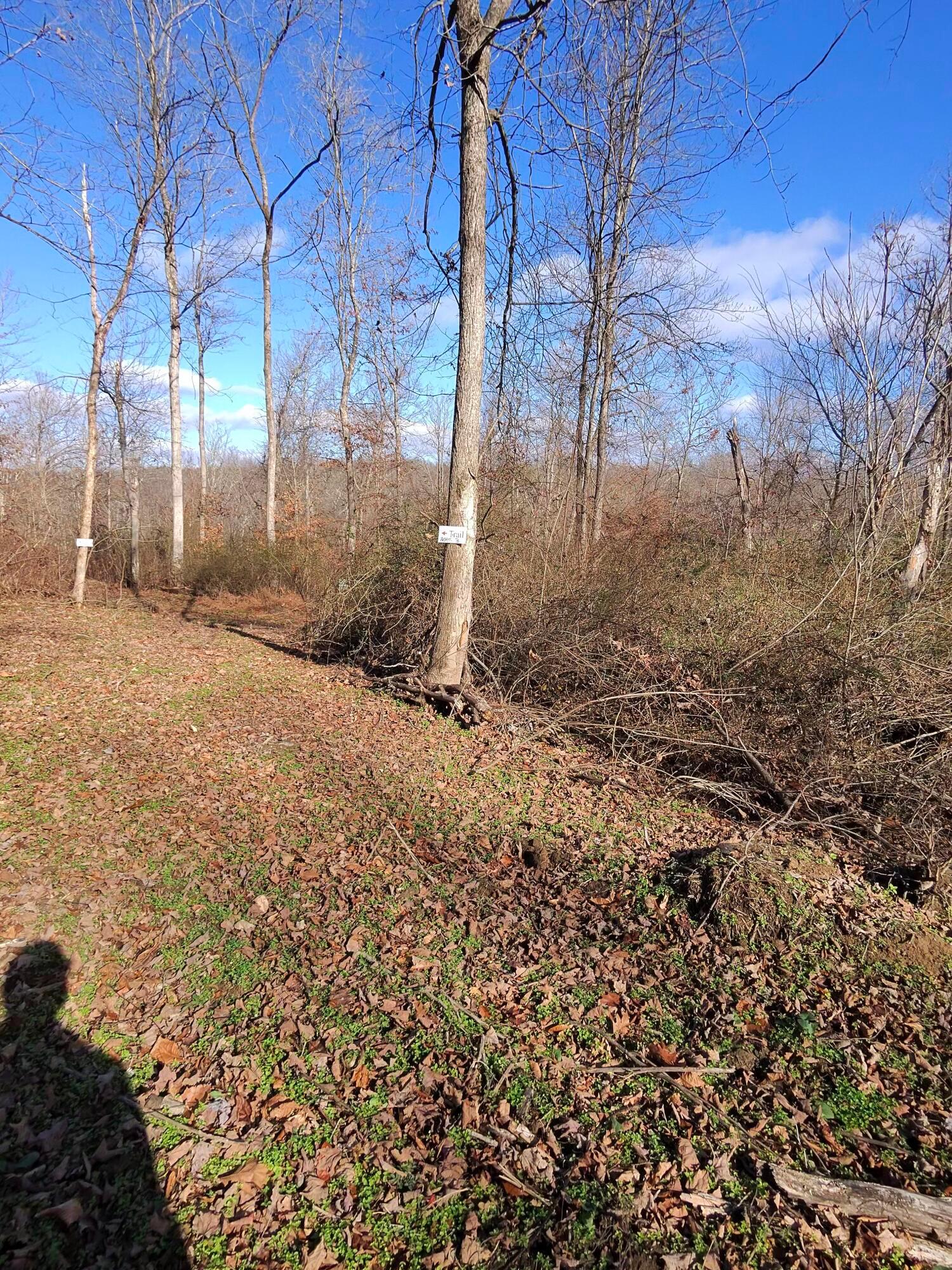 9562 Township Rd 57 #TRACT 3 AT SHERIDAN WOOD, Roseville, Ohio image 22