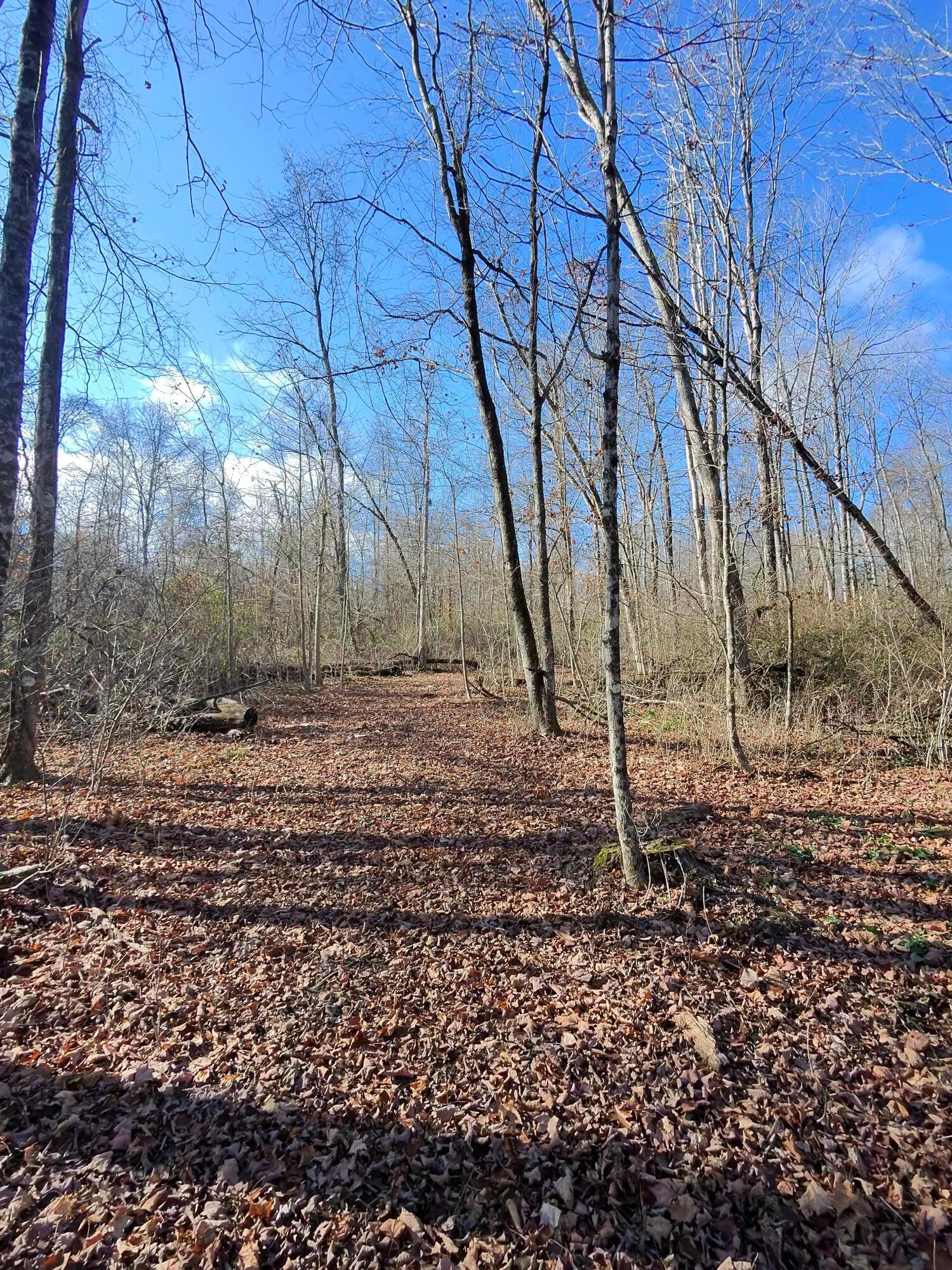 9562 Township Rd 57 #TRACT 3 AT SHERIDAN WOOD, Roseville, Ohio image 19