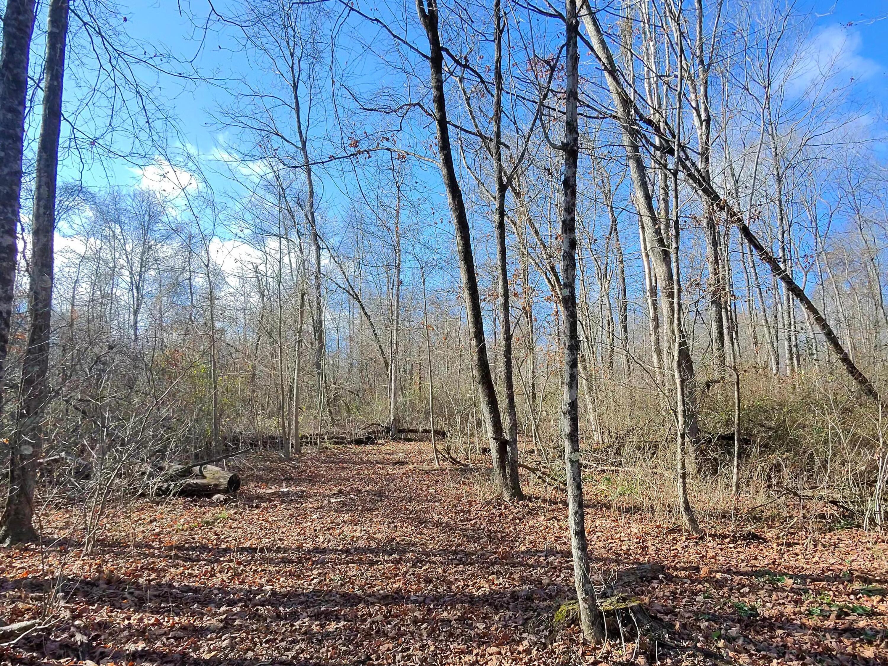 9562 Township Rd 57 #TRACT 3 AT SHERIDAN WOOD, Roseville, Ohio image 2