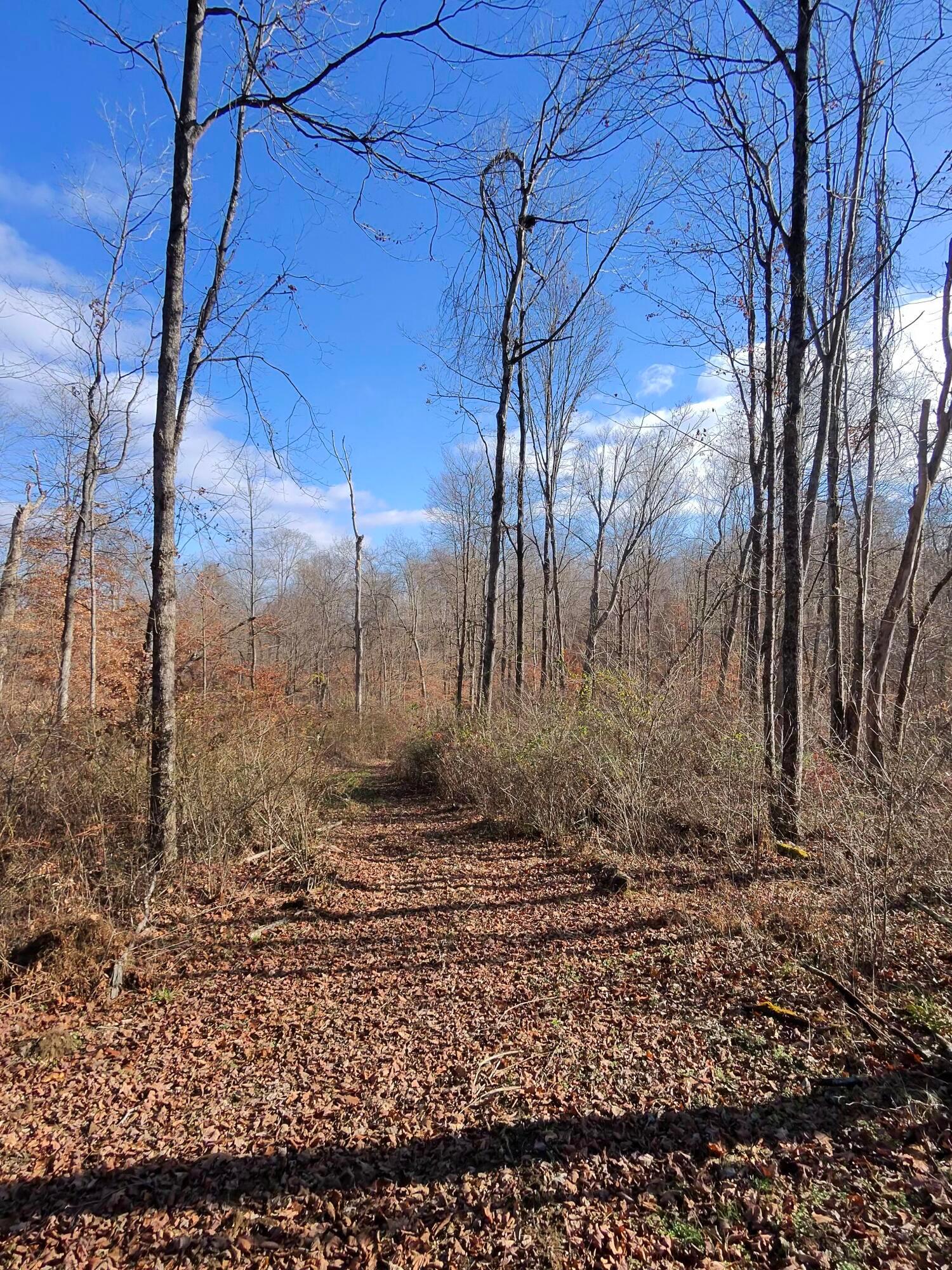 9562 Township Rd 57 #TRACT 3 AT SHERIDAN WOOD, Roseville, Ohio image 17