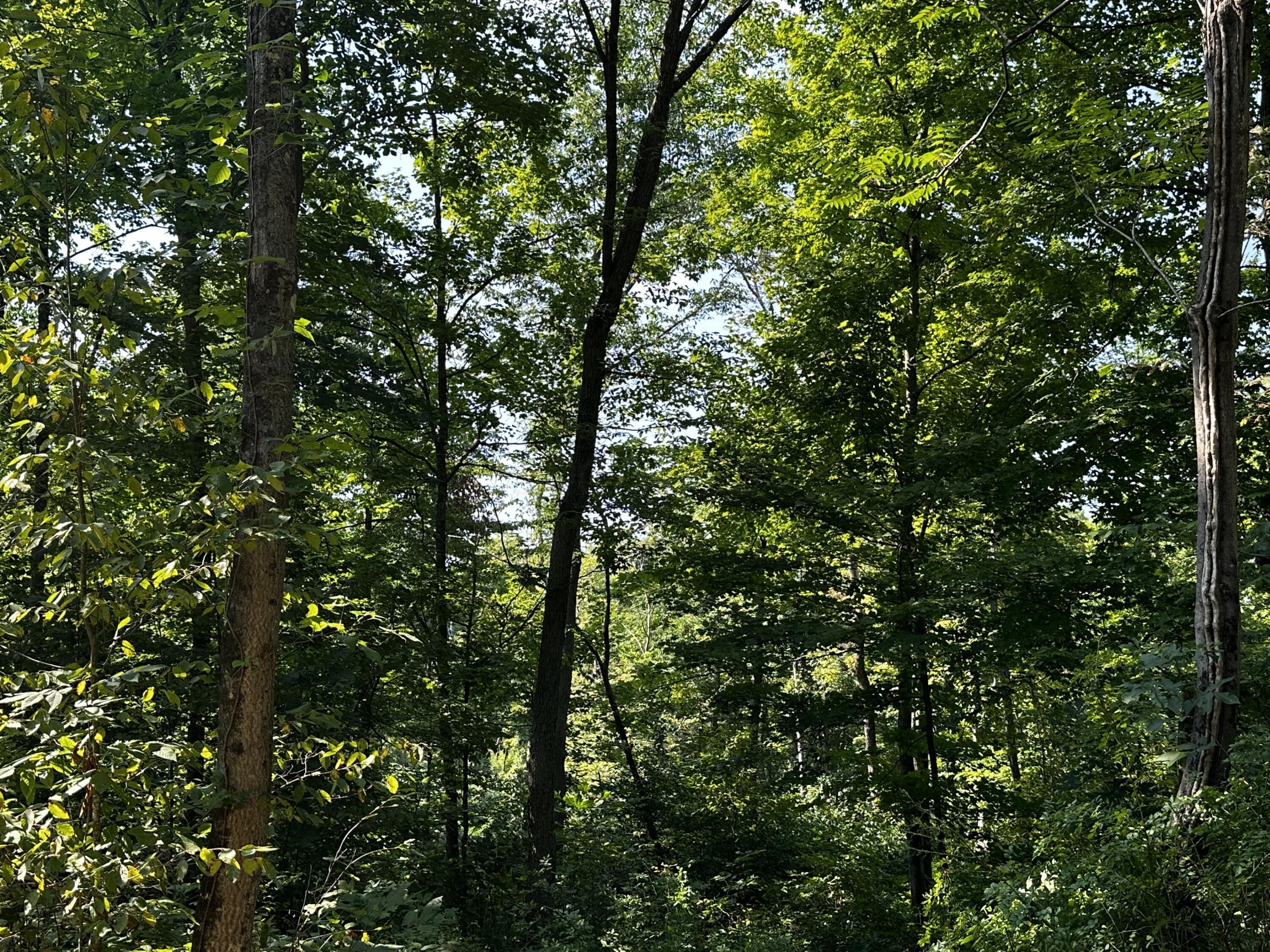 9562 Township Rd 57 #TRACT 3 AT SHERIDAN WOOD, Roseville, Ohio image 47