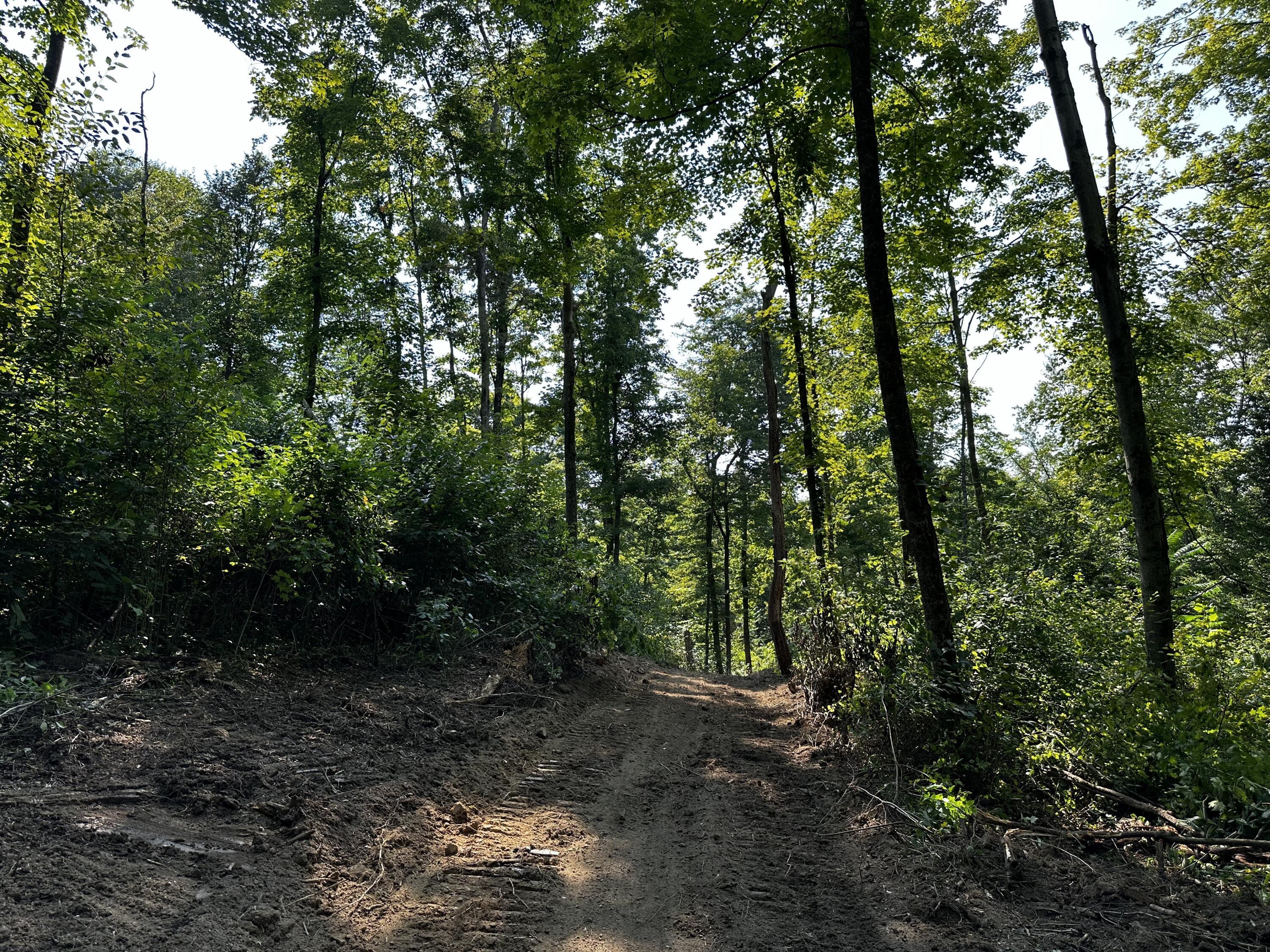 9562 Township Rd 57 #TRACT 3 AT SHERIDAN WOOD, Roseville, Ohio image 44