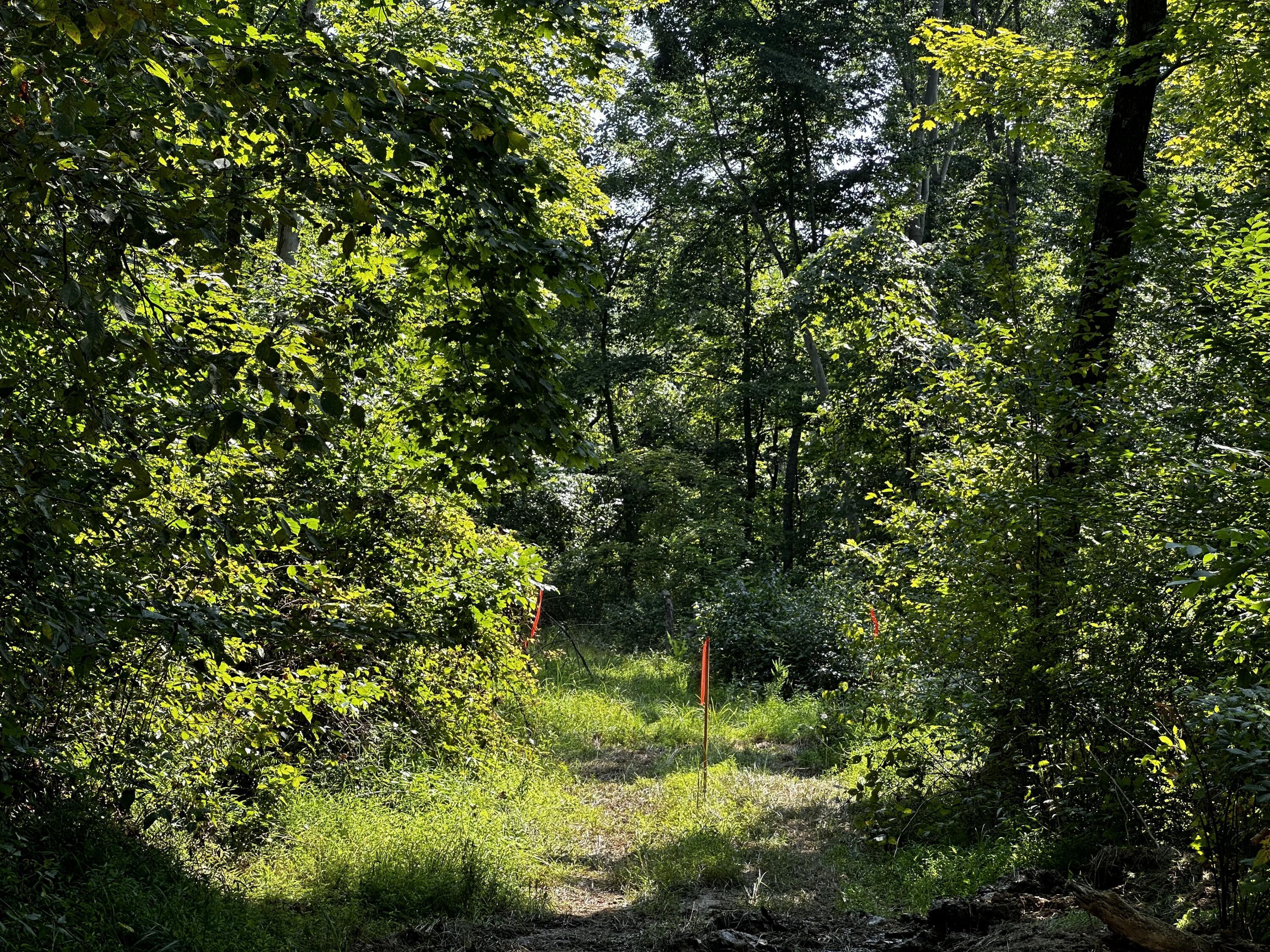 9562 Township Rd 57 #TRACT 3 AT SHERIDAN WOOD, Roseville, Ohio image 38