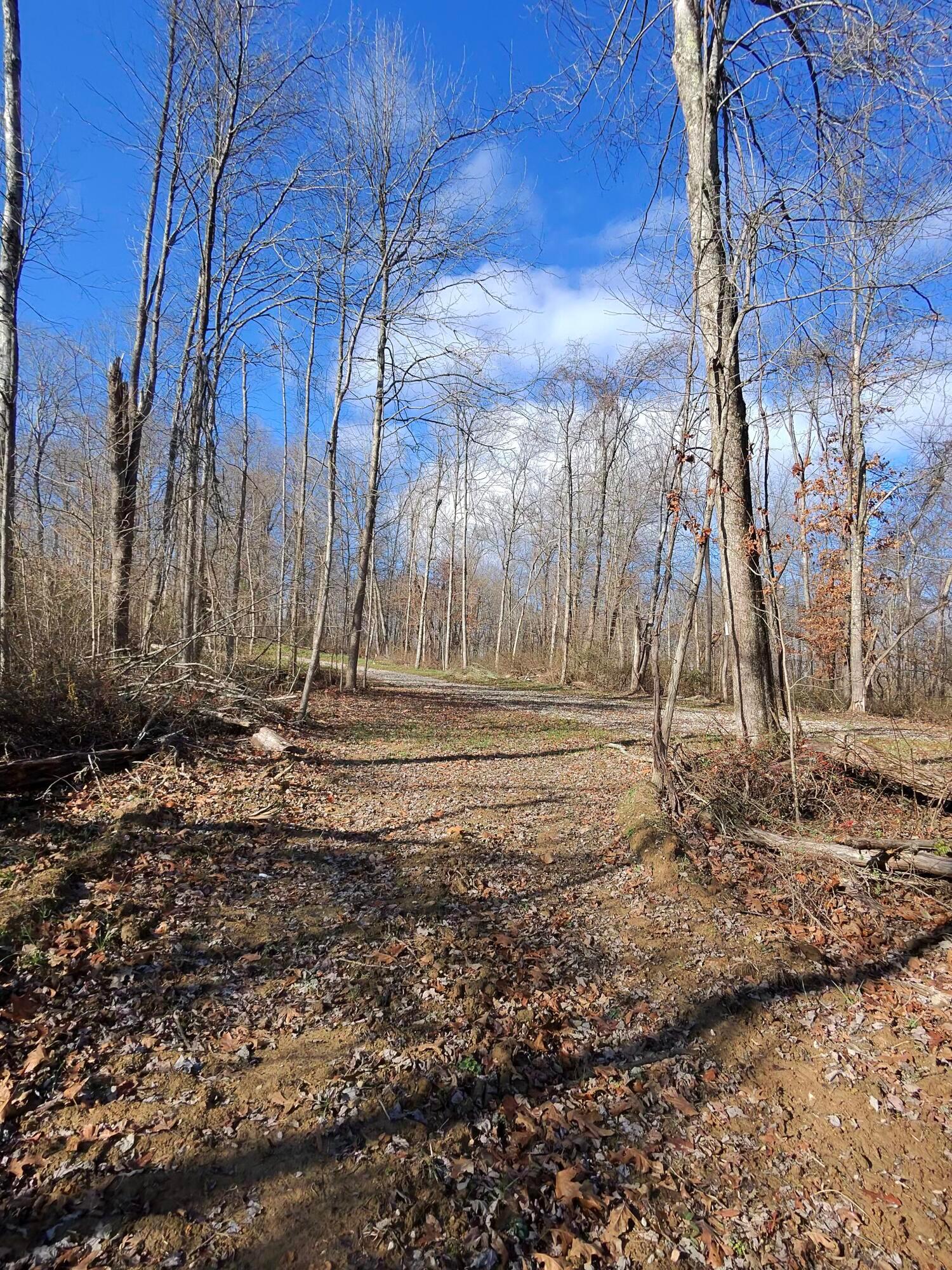 9562 Township Rd 57 #TRACT 3 AT SHERIDAN WOOD, Roseville, Ohio image 15
