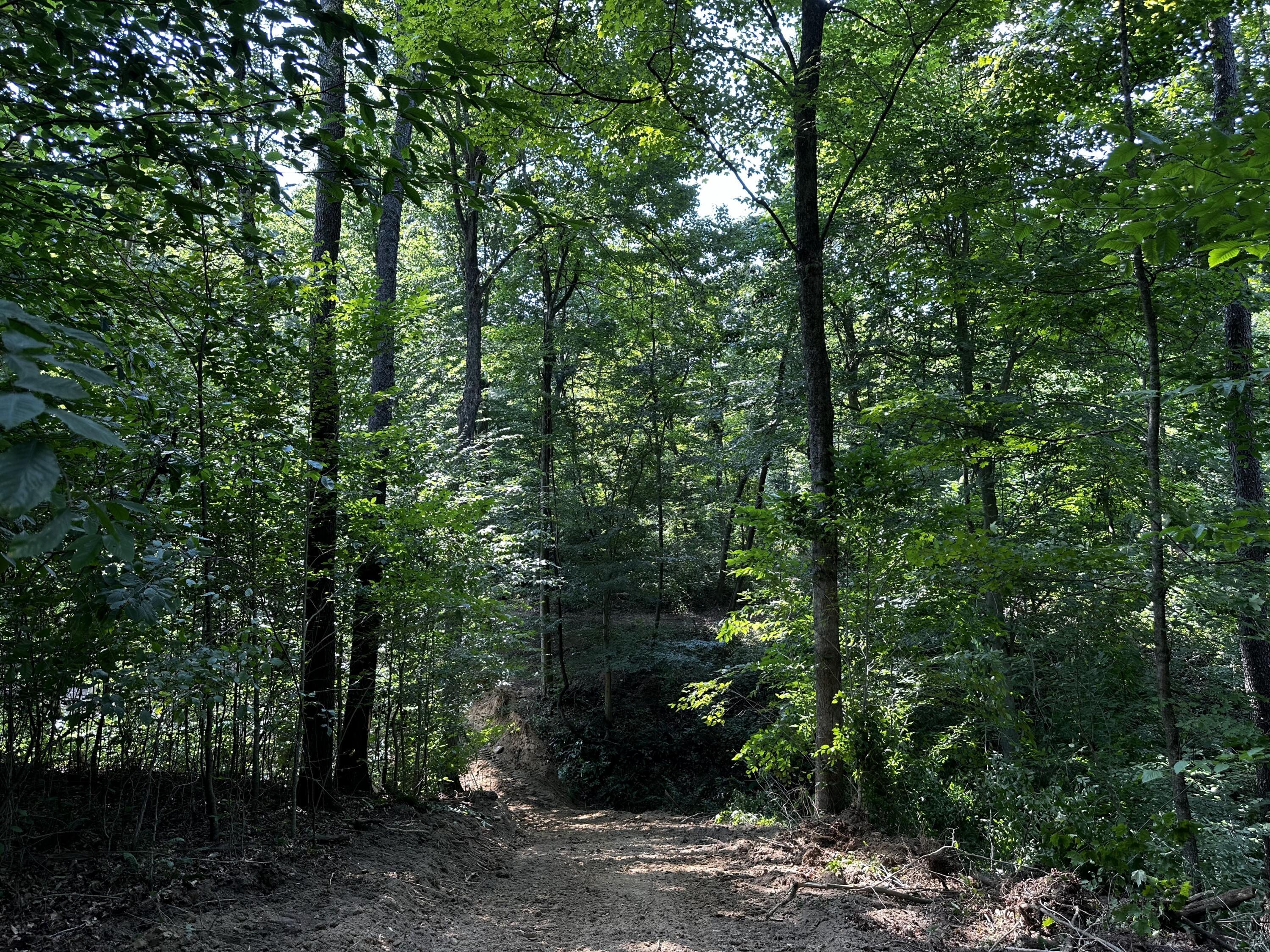 9562 Township Rd 57 #TRACT 3 AT SHERIDAN WOOD, Roseville, Ohio image 27