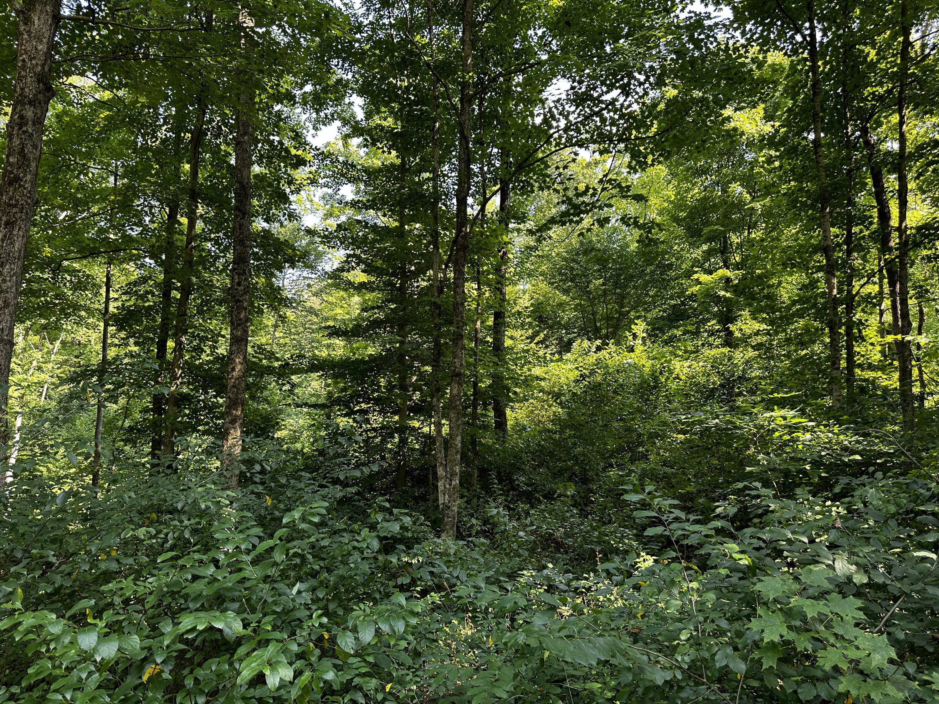 9562 Township Rd 57 #TRACT 3 AT SHERIDAN WOOD, Roseville, Ohio image 25