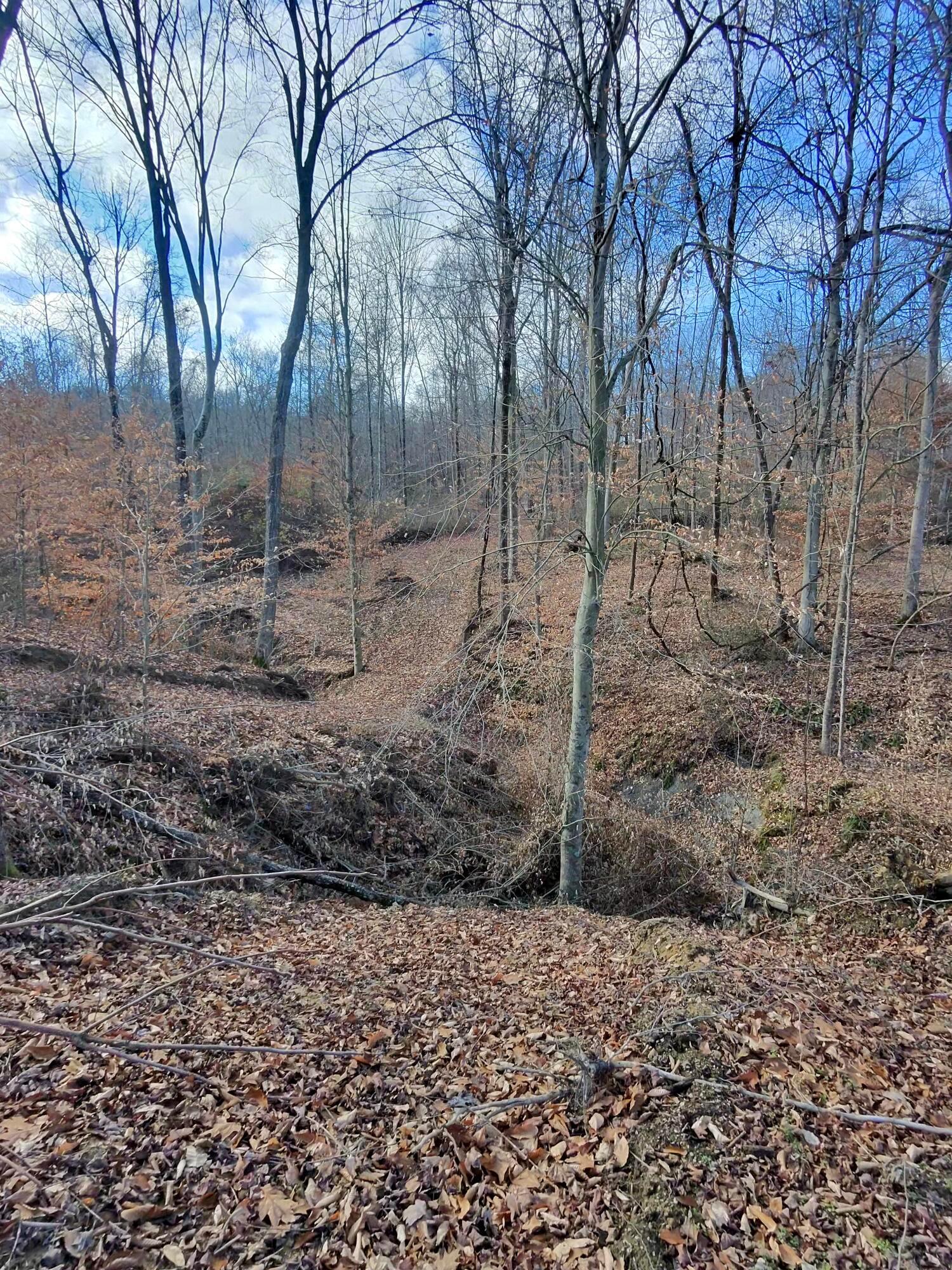 9562 Township Rd 57 #TRACT 3 AT SHERIDAN WOOD, Roseville, Ohio image 26