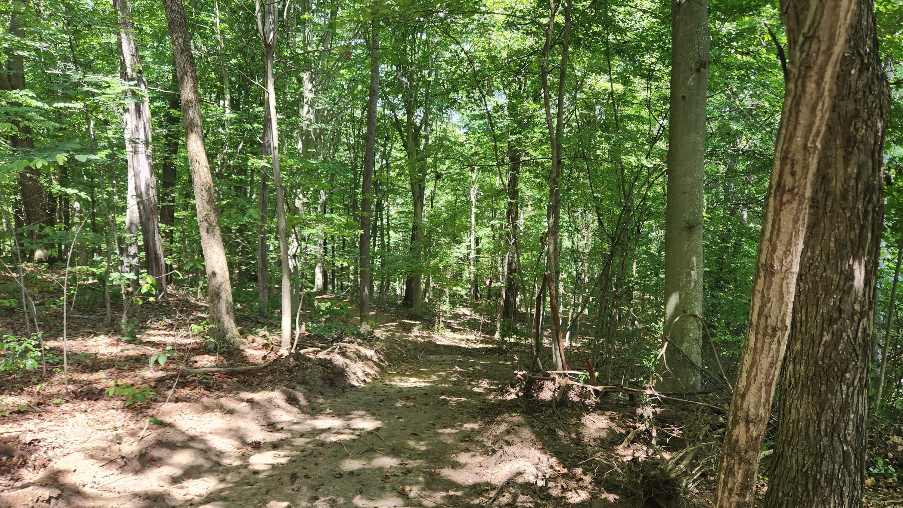 Sr 684 Road #TRACT 12 ALBANY WOODS, Albany, Ohio image 33
