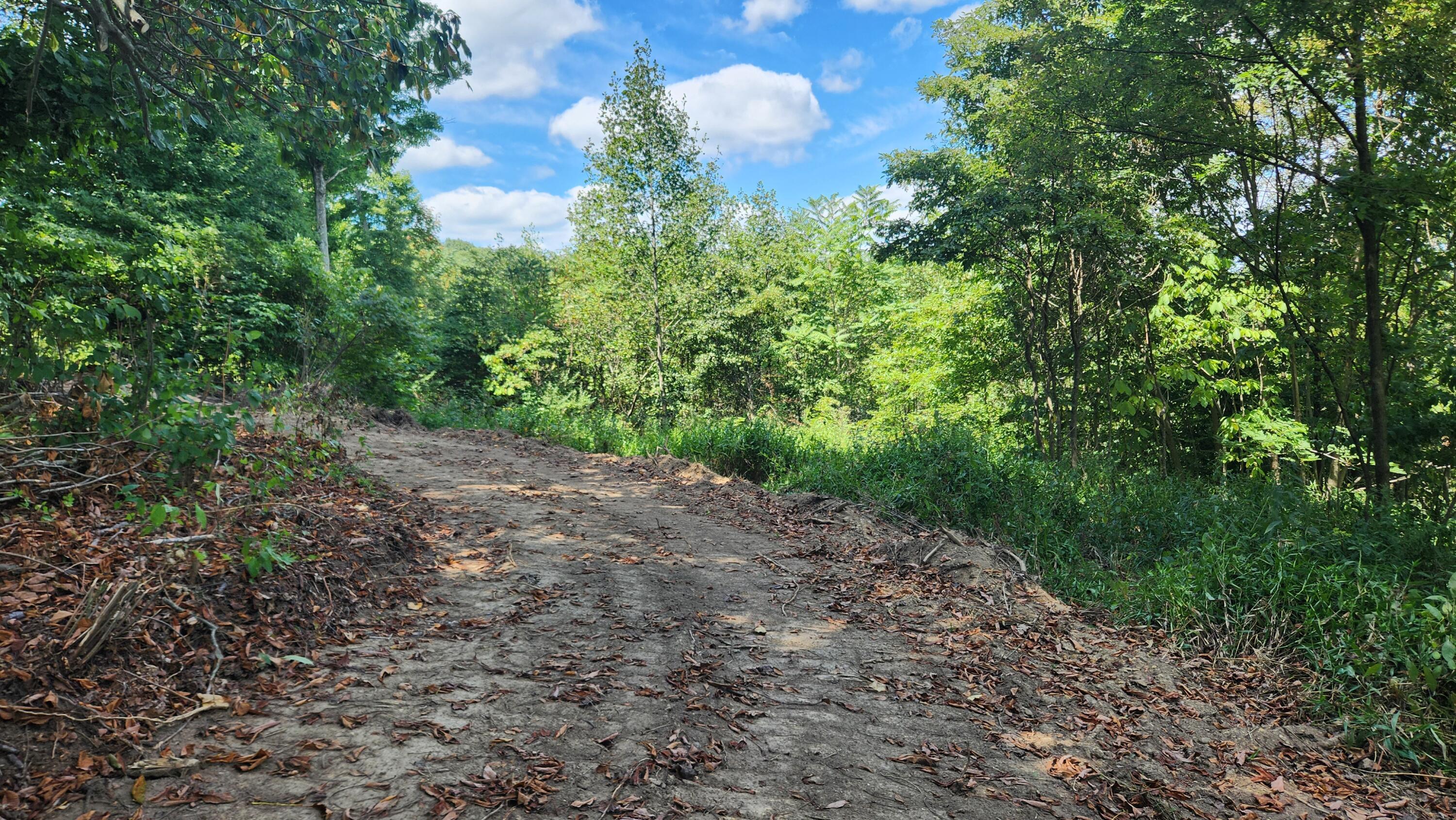 Sr 684 Road #TRACT 12 ALBANY WOODS, Albany, Ohio image 11