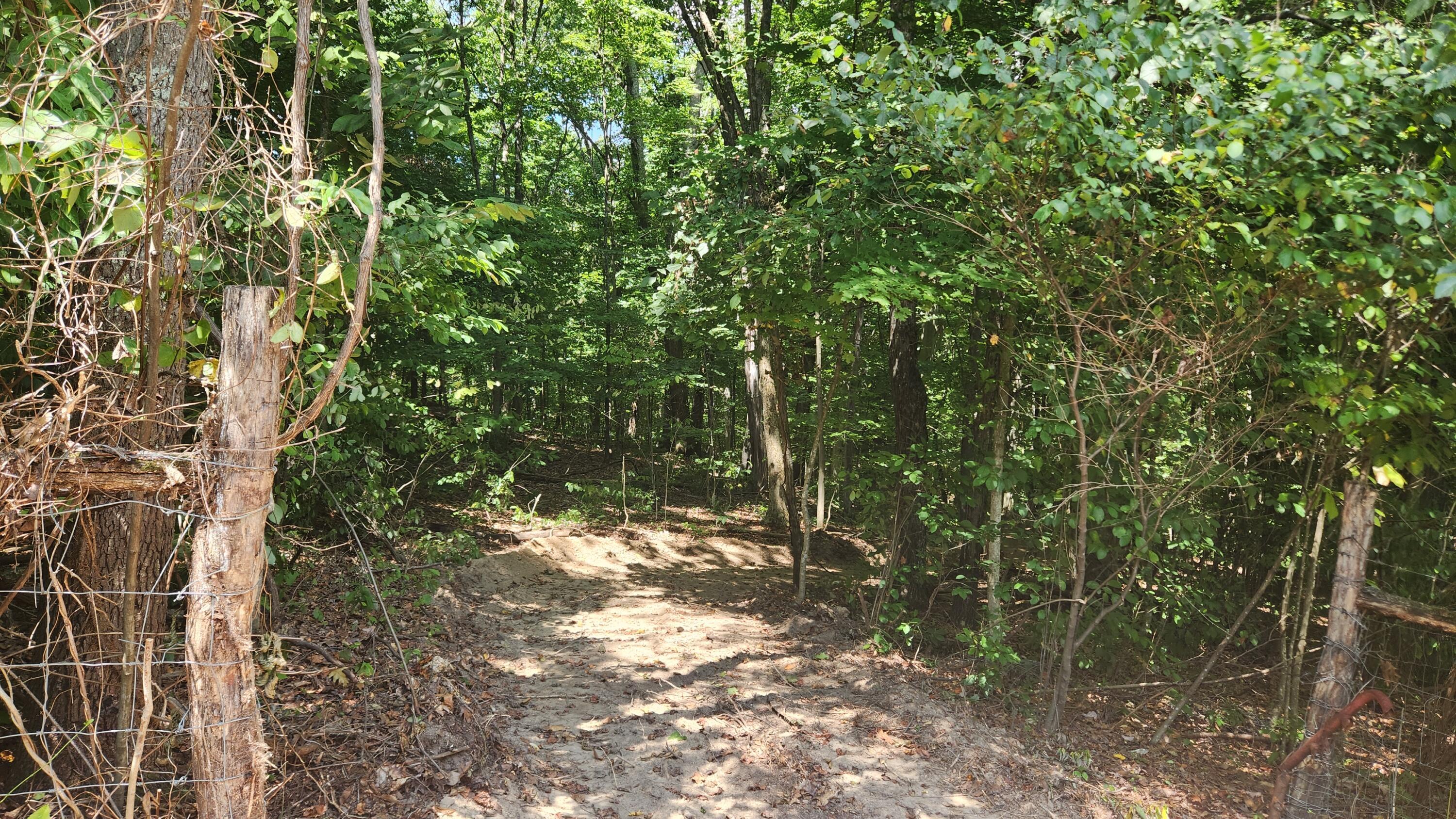 Sr 684 Road #TRACT 12 ALBANY WOODS, Albany, Ohio image 21