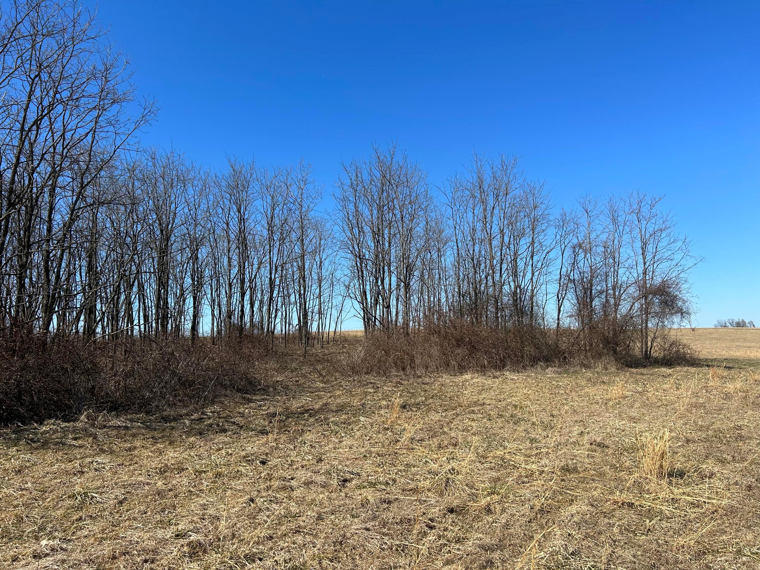 Bear Creek Rarden Road, Otway, Ohio image 48