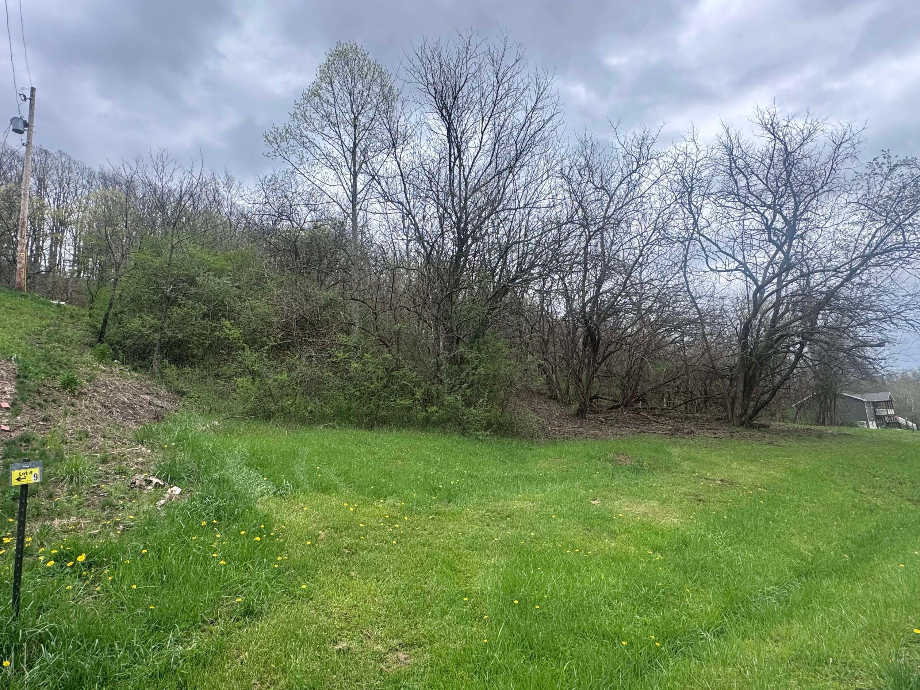 3960 Wedgewood Drive, Mcconnelsville, Ohio image 12