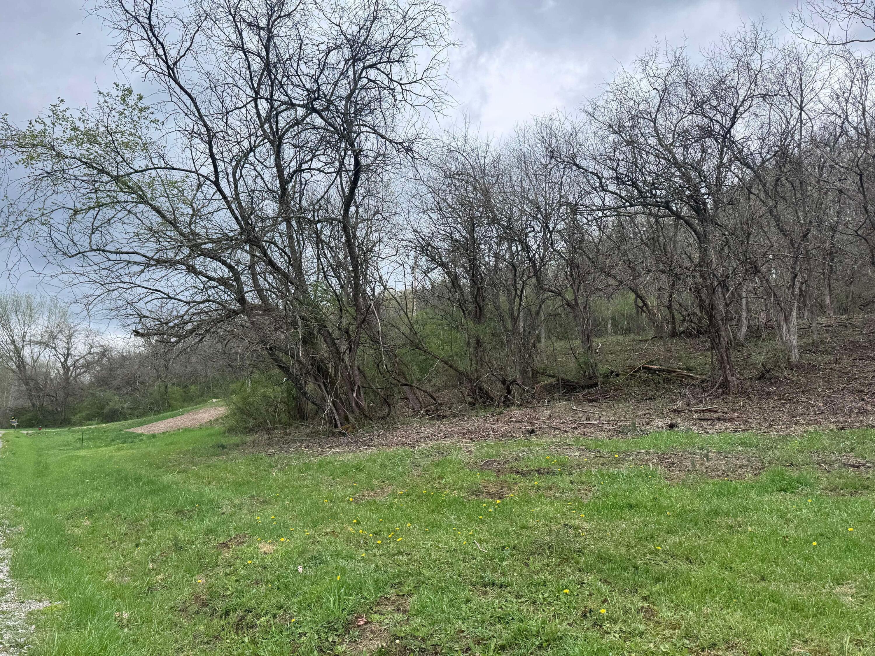 3960 Wedgewood Drive, Mcconnelsville, Ohio image 1