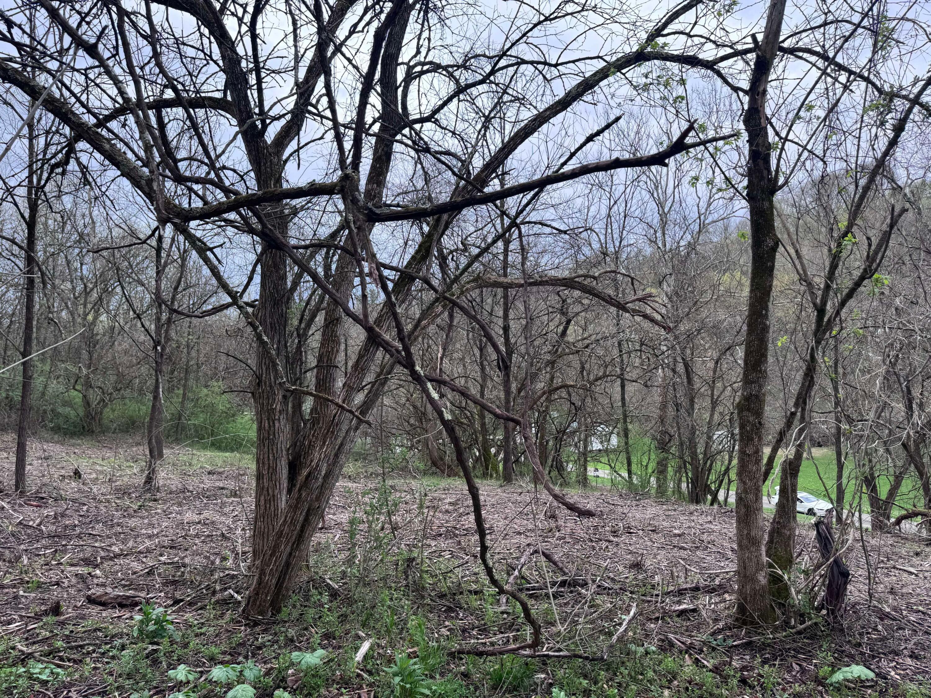 3960 Wedgewood Drive, Mcconnelsville, Ohio image 11