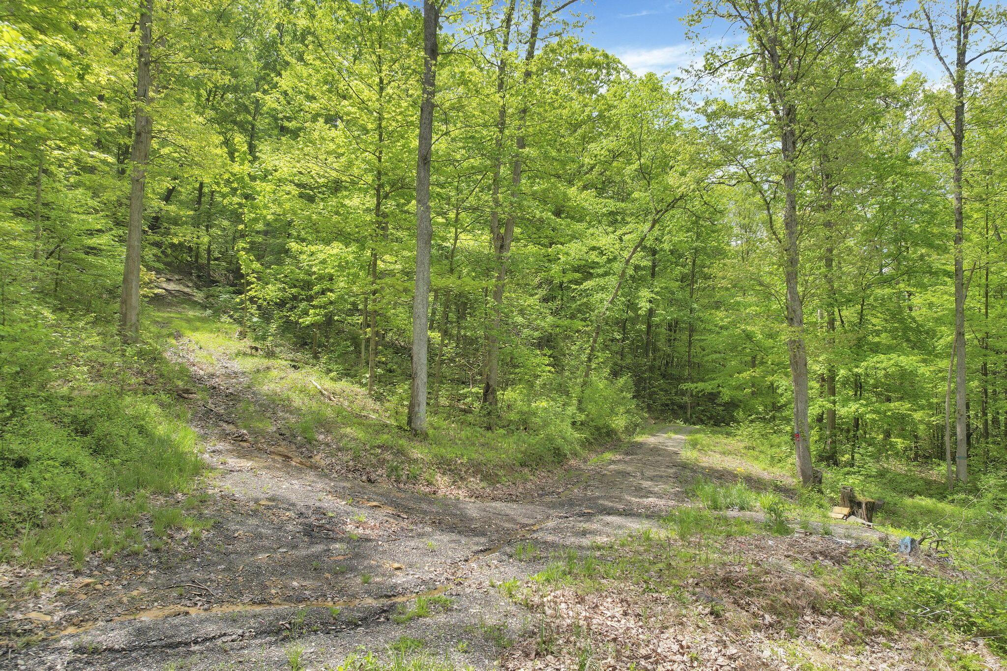Karnes Road, Nelsonville, Ohio image 23