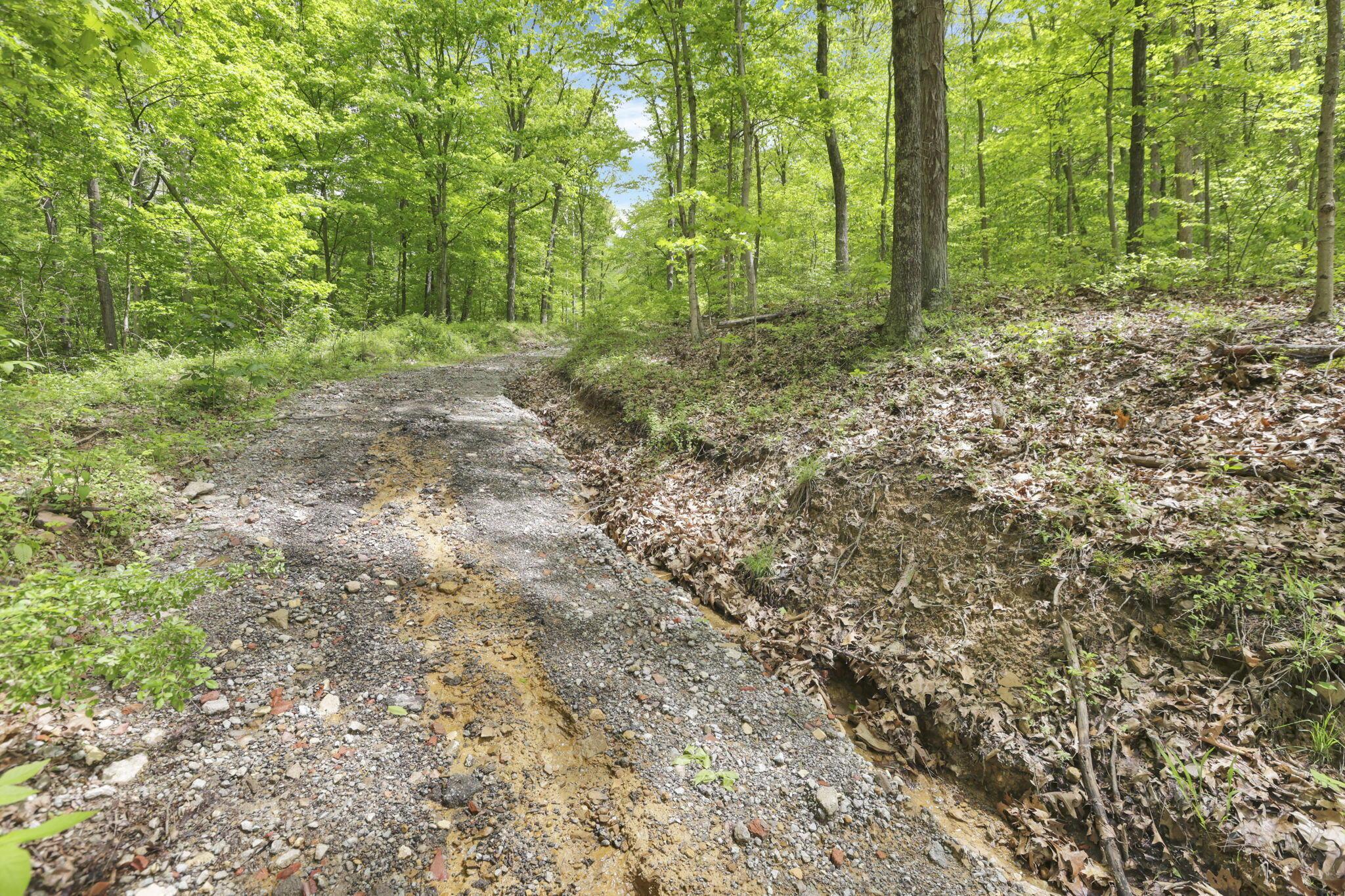 Karnes Road, Nelsonville, Ohio image 22